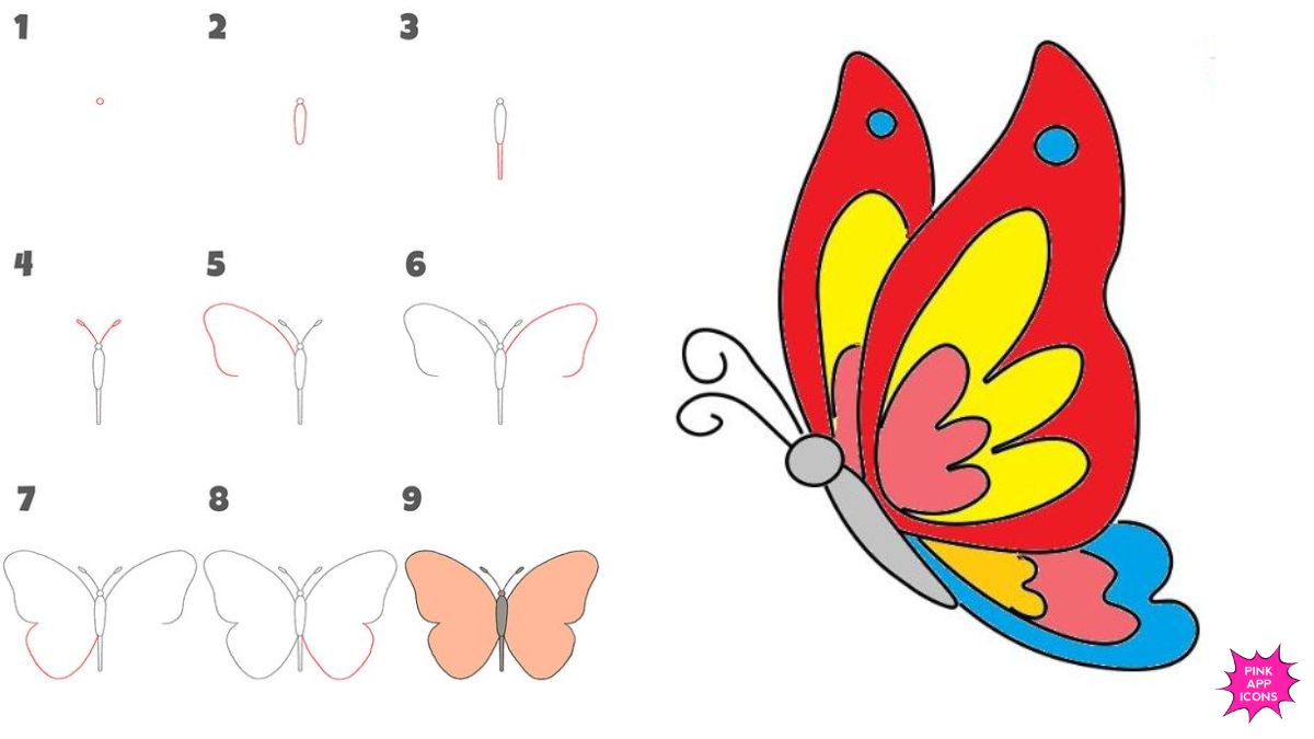 Easy Butterfly Drawing Ideas for Kids