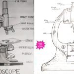 Easy Microscope Drawing with Label Step by Step