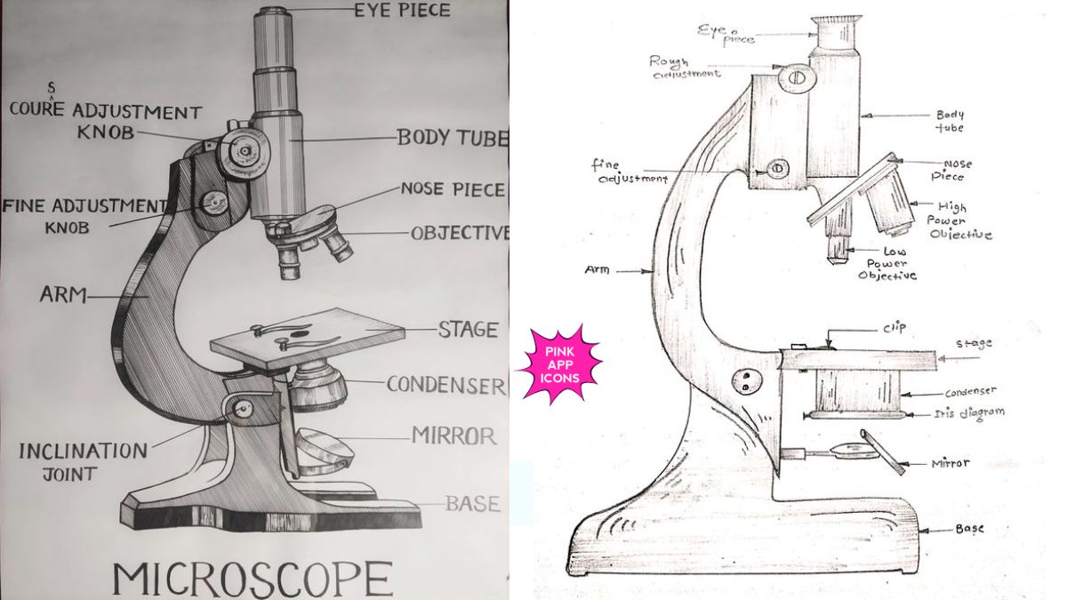 Easy Microscope Drawing with Label Step by Step