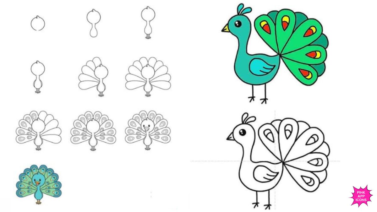 Easy Peacock Drawing Ideas for Kids