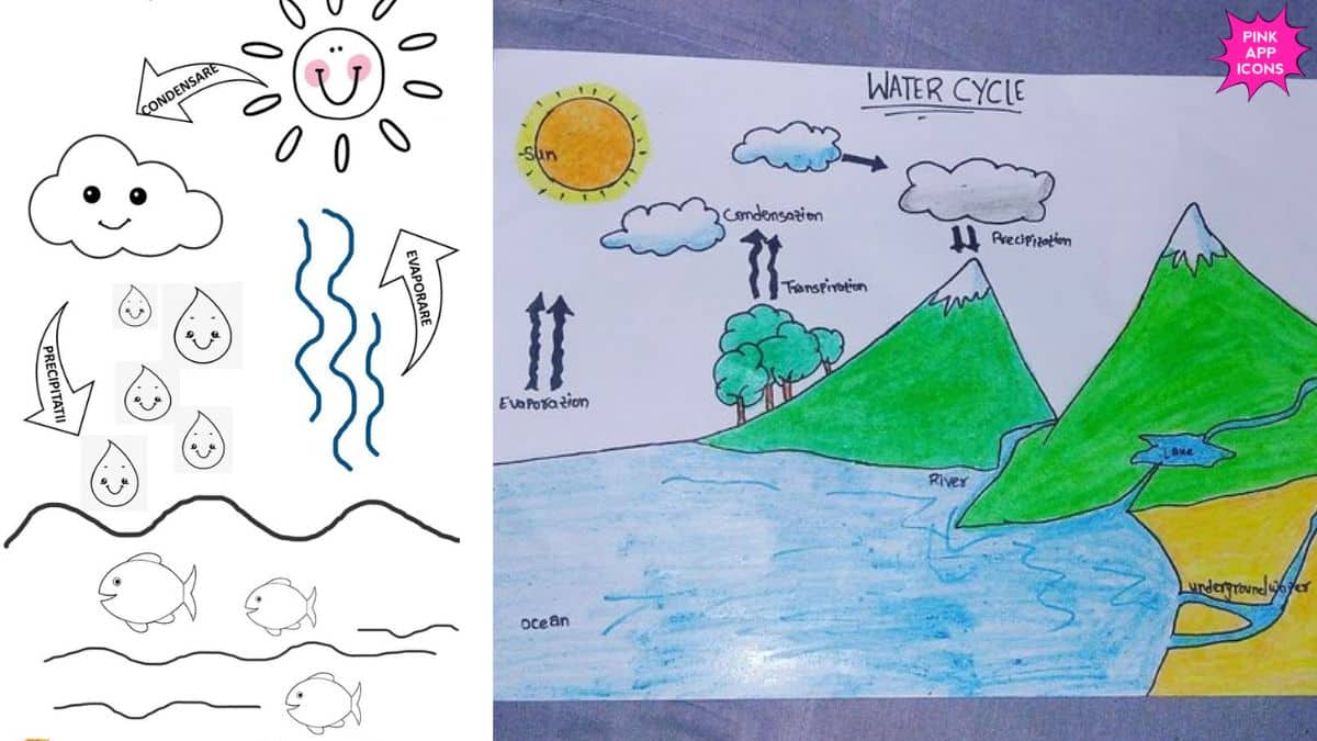 Easy Water Cycle Drawing for Kids With Colour