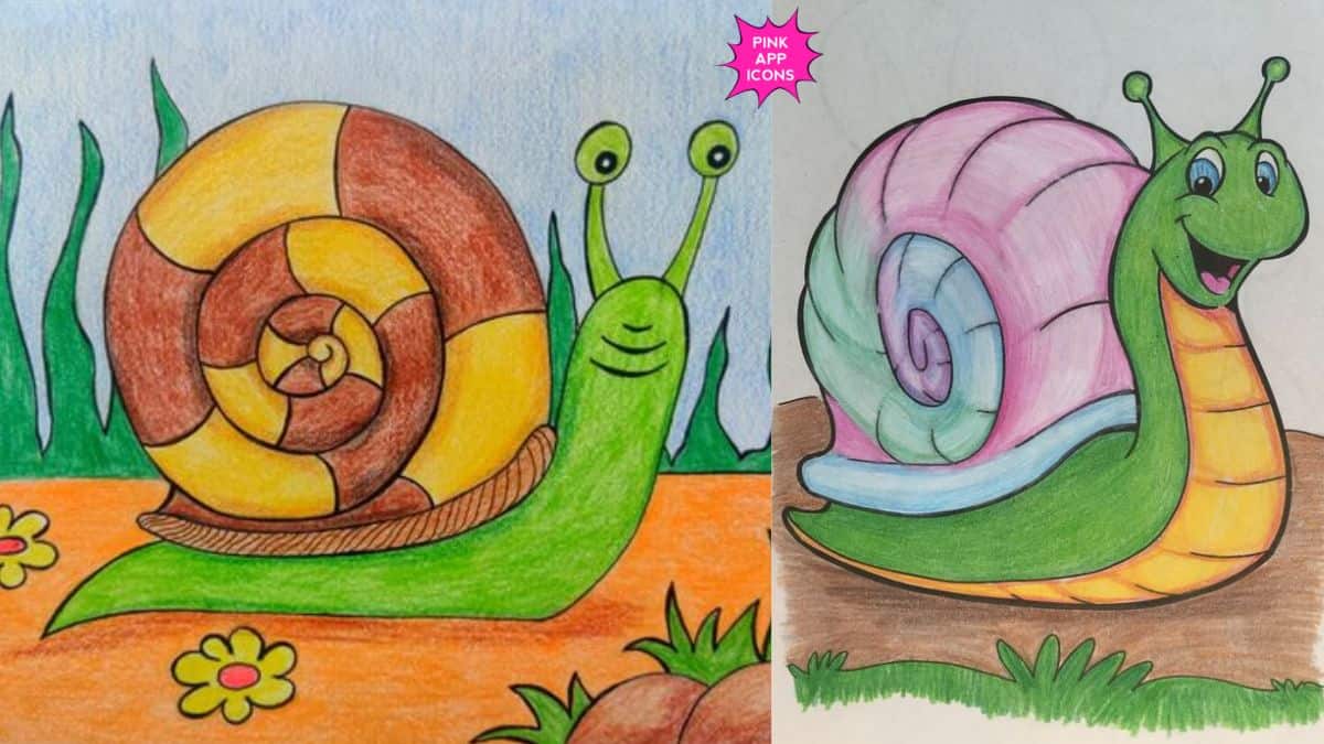 Easy Snail Drawing with Color