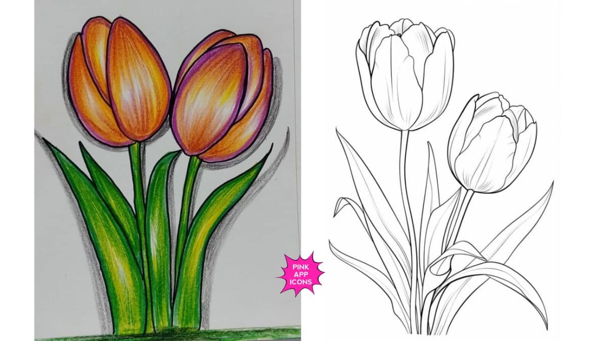 Easy Tulip Drawing for Kids Step by Step