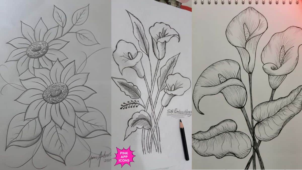 Simple Pretty Flower Drawing with Pencil Outline