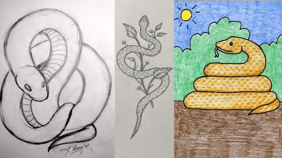 Easy Snake Drawing for Kids Step by Step