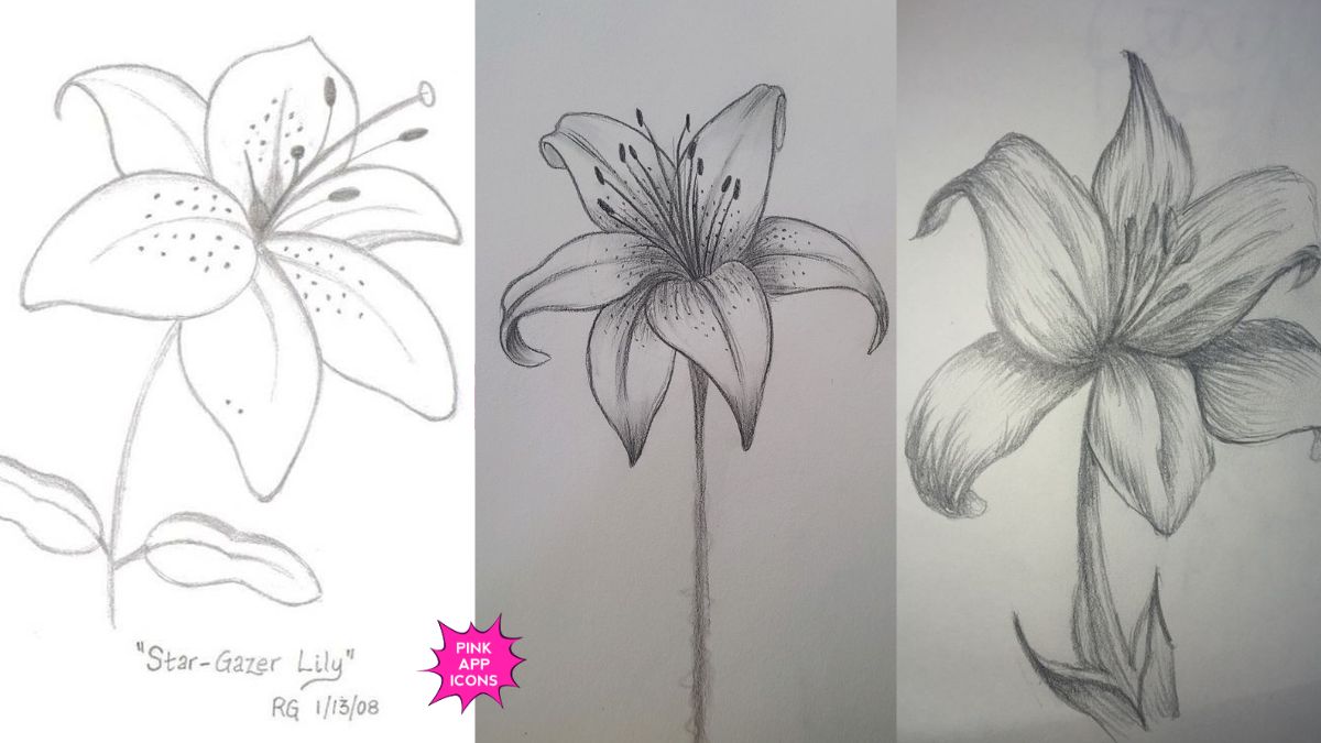 Simple Lily Drawing Step by Step for Kids