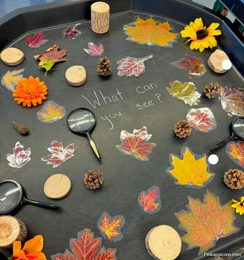 Tuff Tray Ideas Autumn Tuff Tray Ideas Autumn