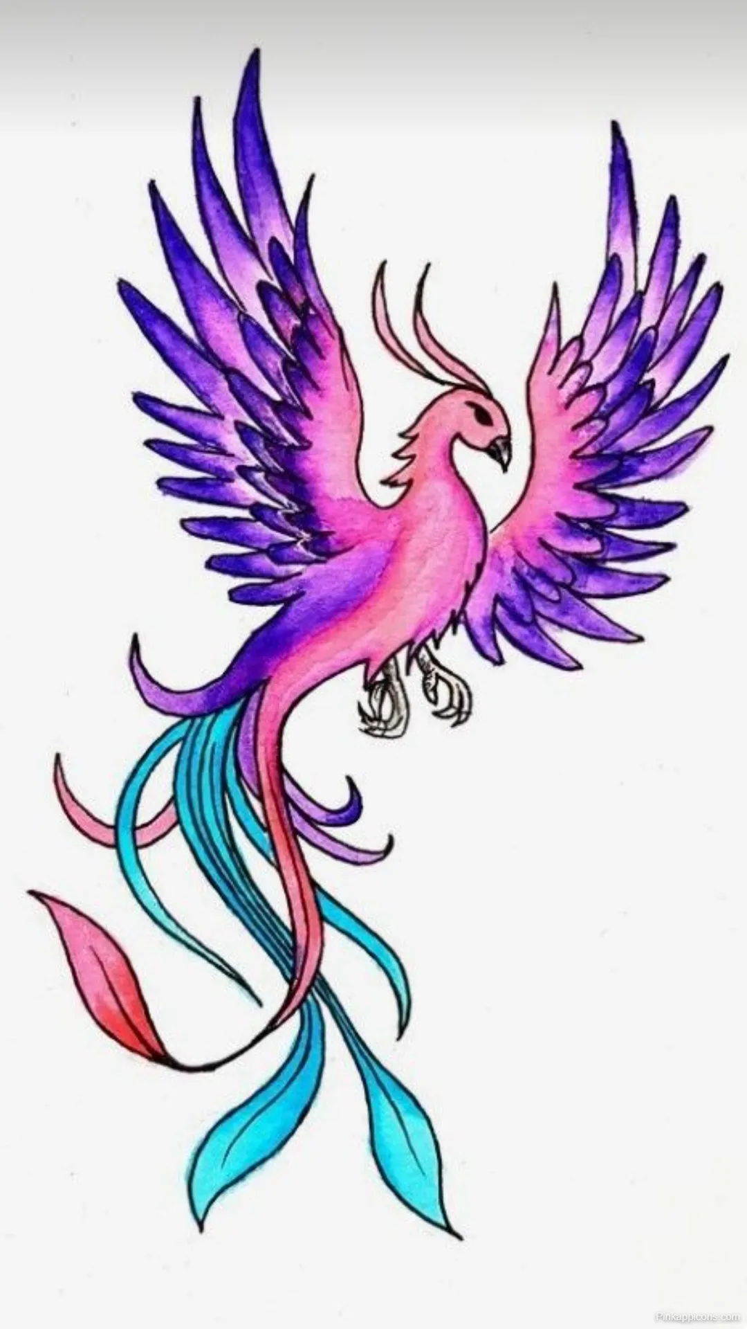 Ibong Adarna Drawing