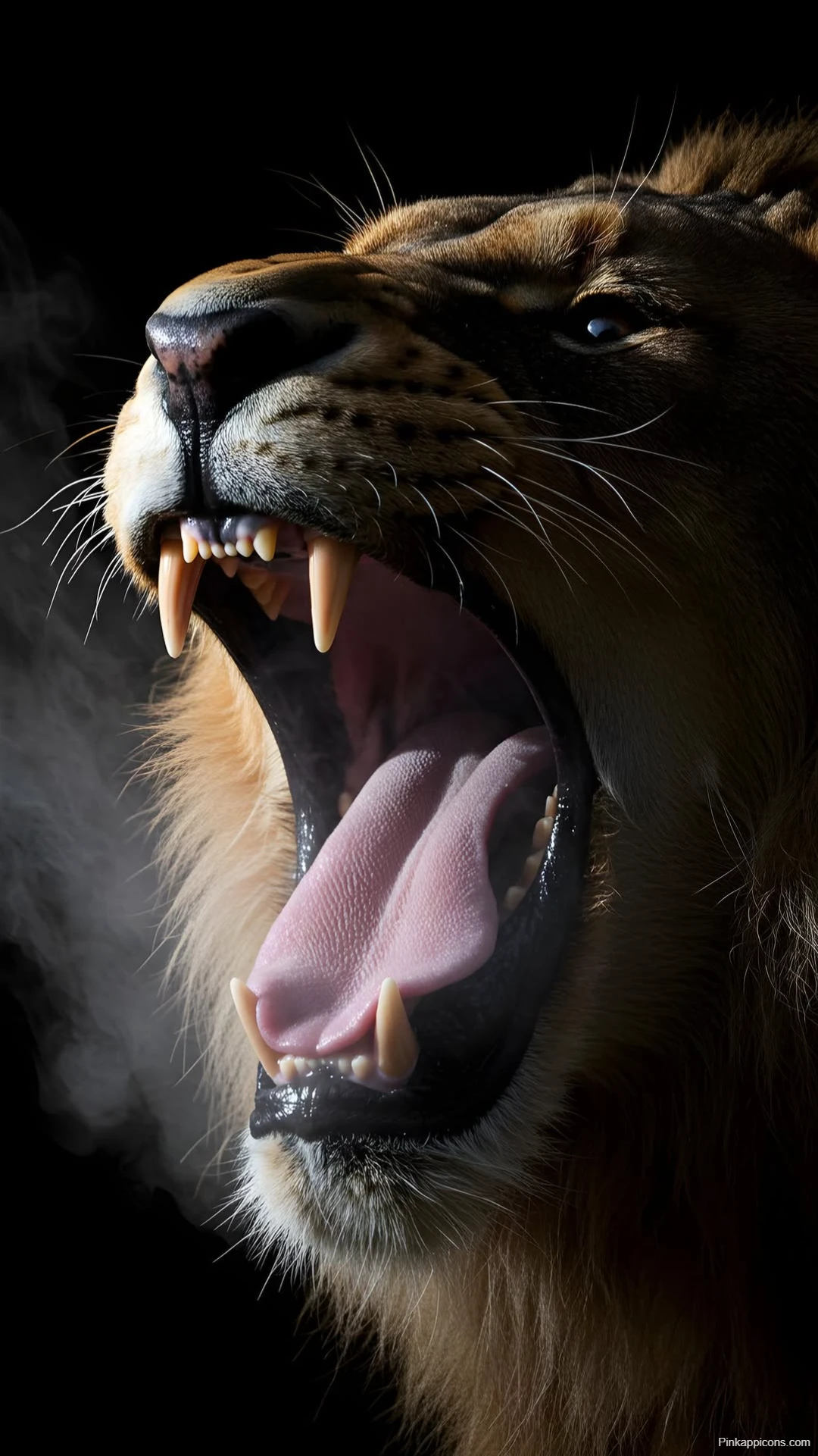 Powerful Lion Showing Fangs Wallpaper King of Beasts