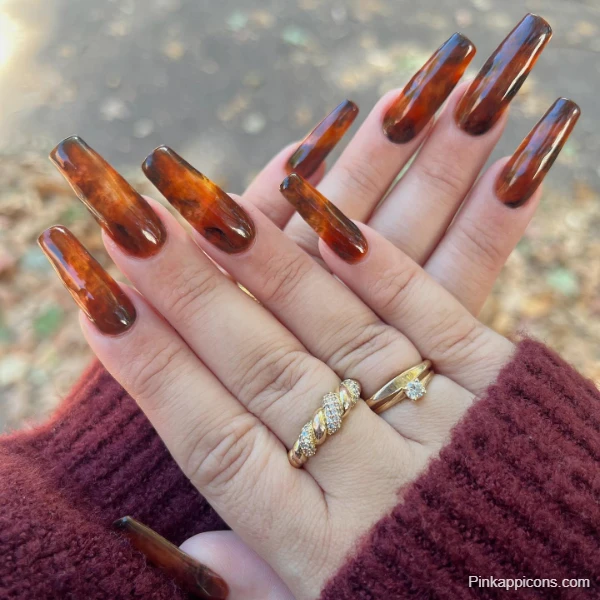 Elegant Fall Nails Long Coffin Tortoiseshell Manicure