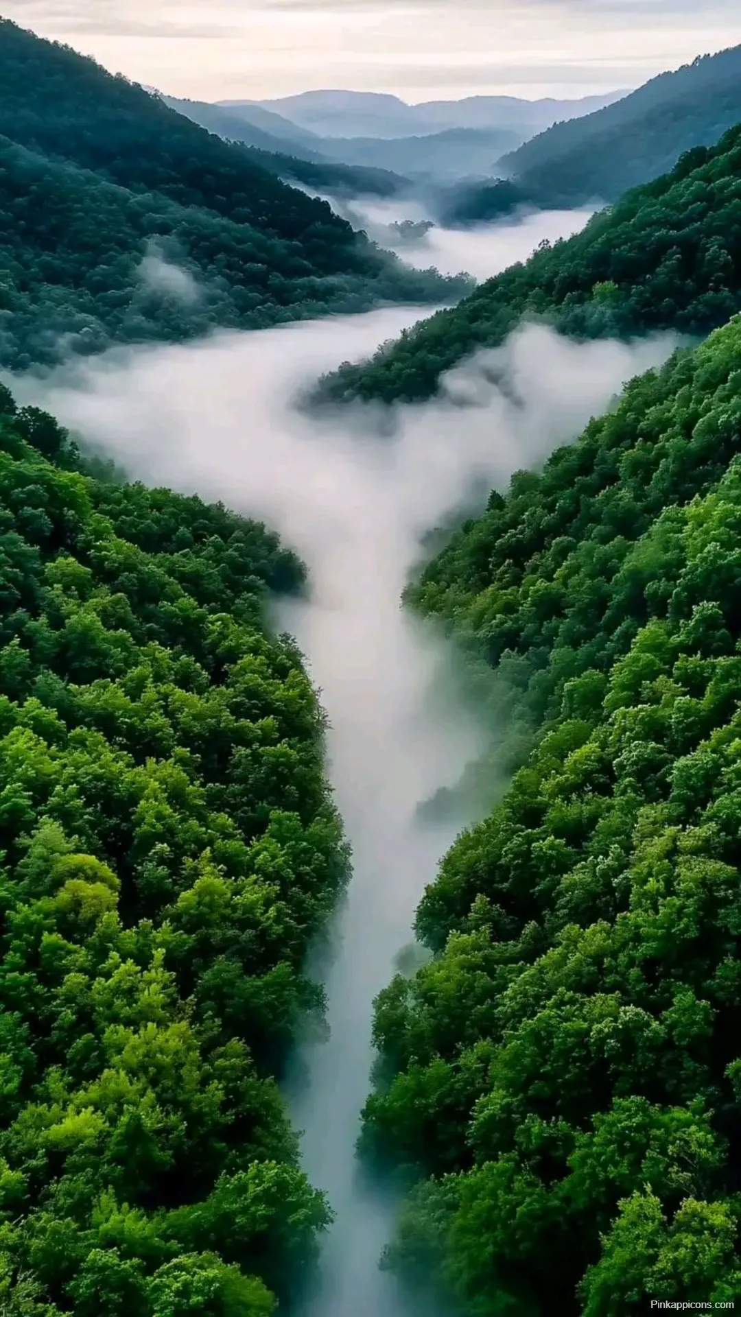 Misty Mountain Valley Wallpapers Ethereal Fog in Lush Greenery