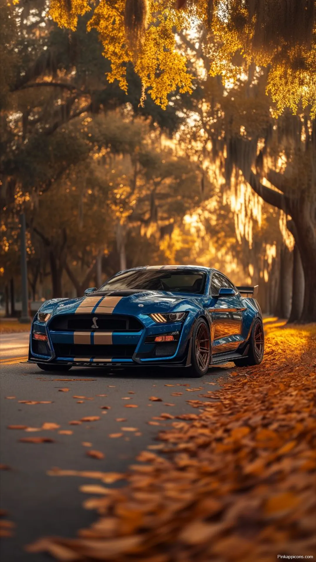 Sports Car Wallpapers Ford Shelby in Golden Autumn Light