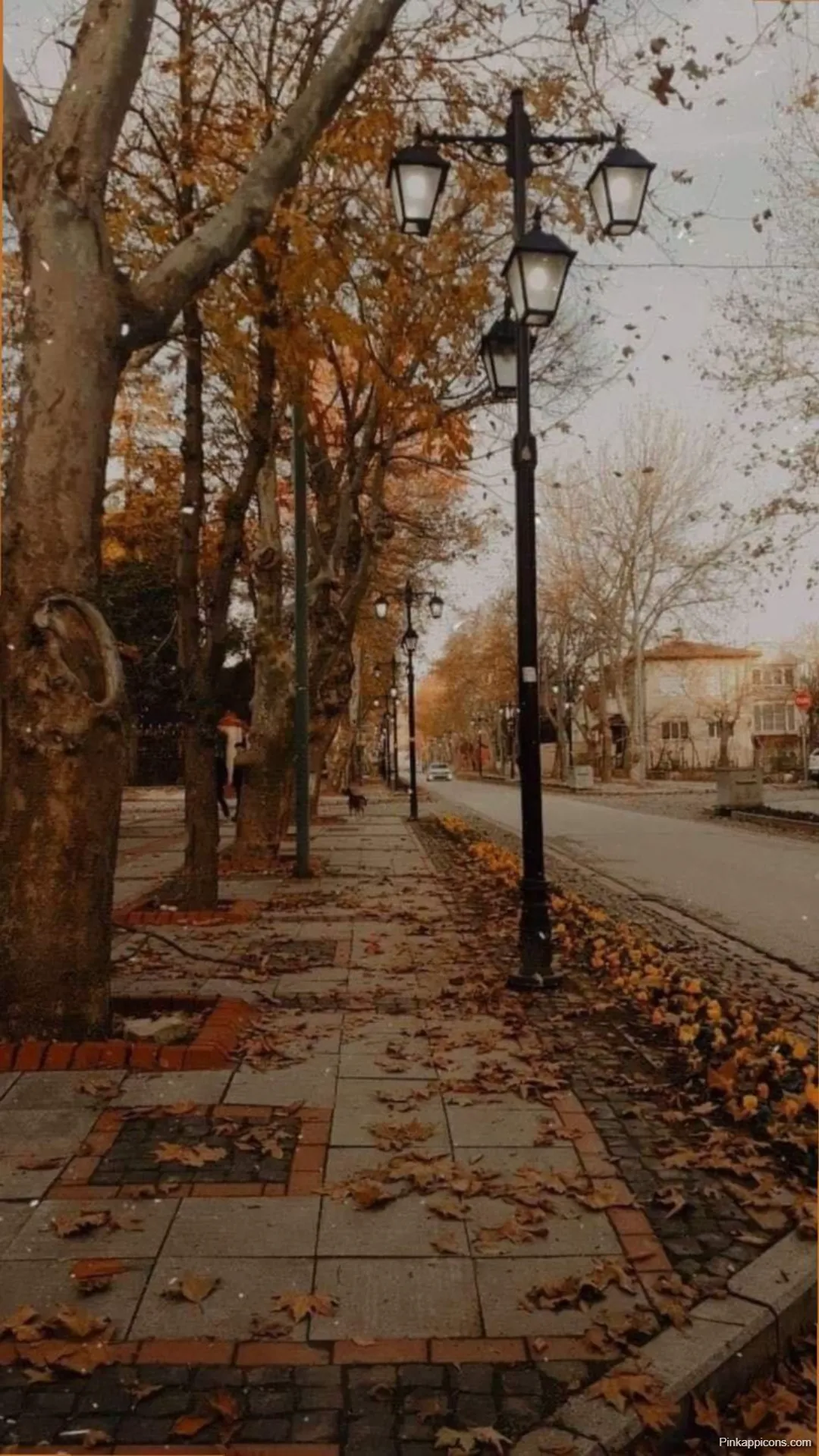Aesthetic Autumn Wallpapers Cozy Tree Lined Street with Vintage Lampposts Aesthetic Autumn-Wallpapers Cozy Tree-Lined Street with Vintage Lampposts