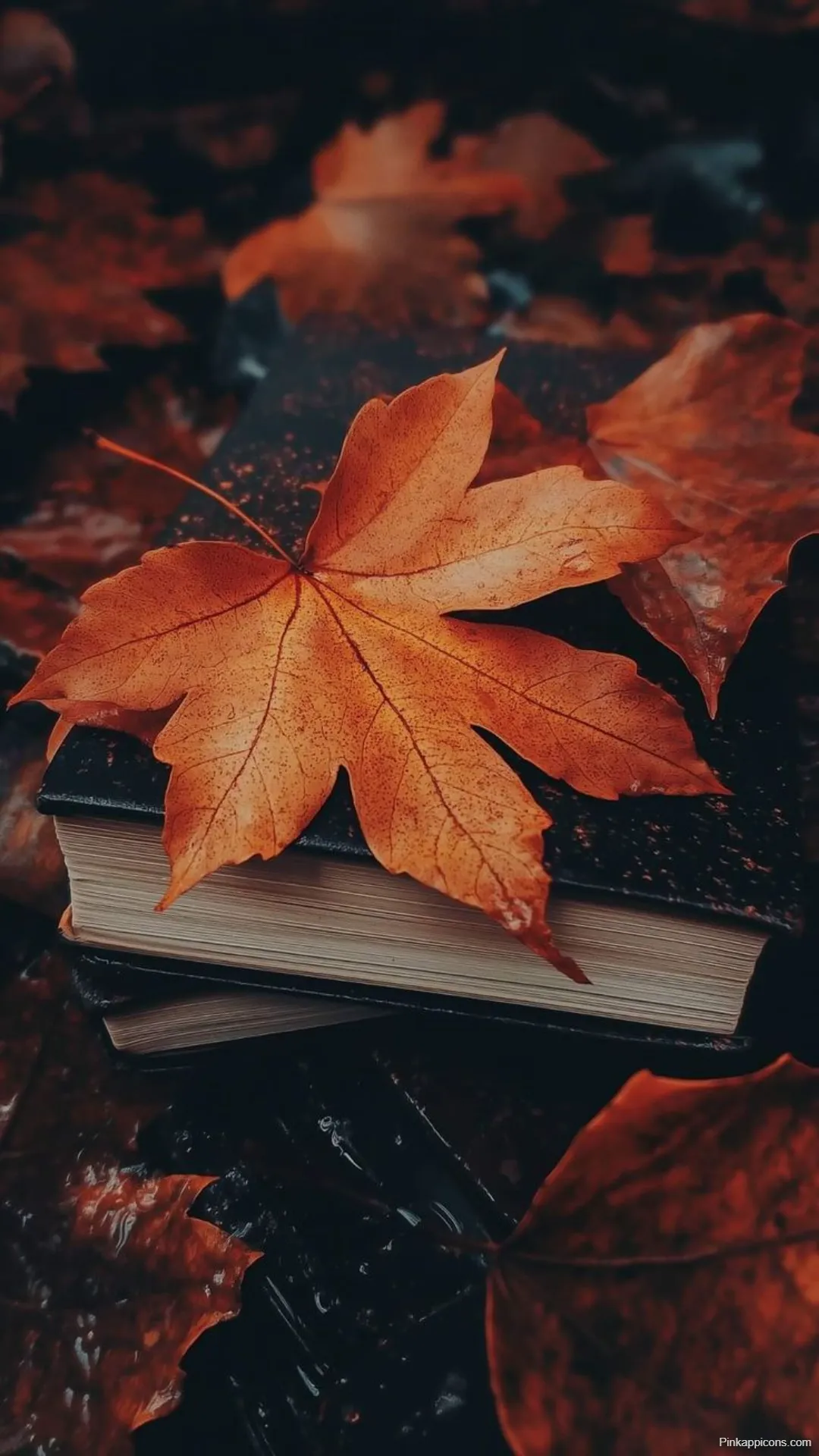 Aesthetic Autumn Wallpapers HD Rustic Red Leaf on Vintage Book Aesthetic Autumn Wallpapers HD Rustic Red Leaf on Vintage Book
