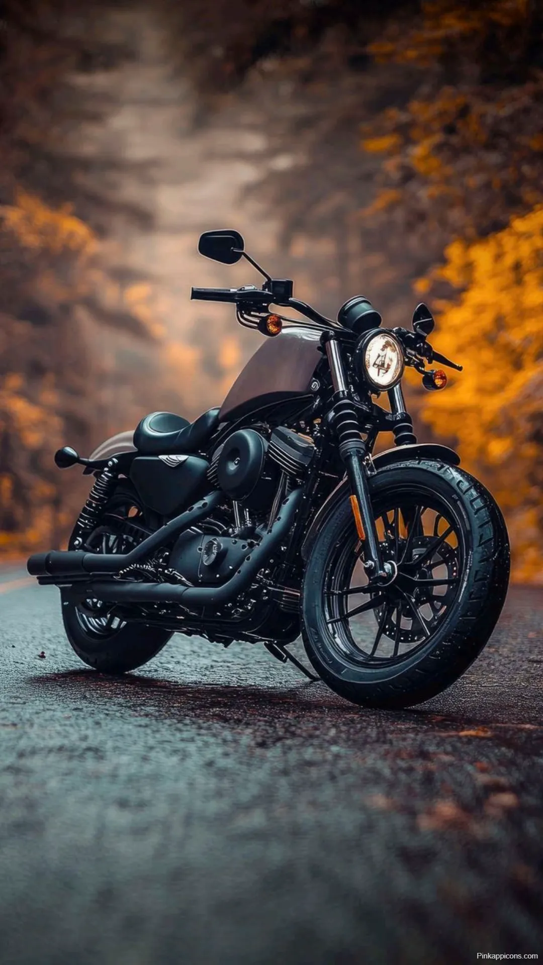 Bike Wallpapers Black Harley Davidson on a Forest Road Bike-Wallpapers Black Harley-Davidson on a Forest Road