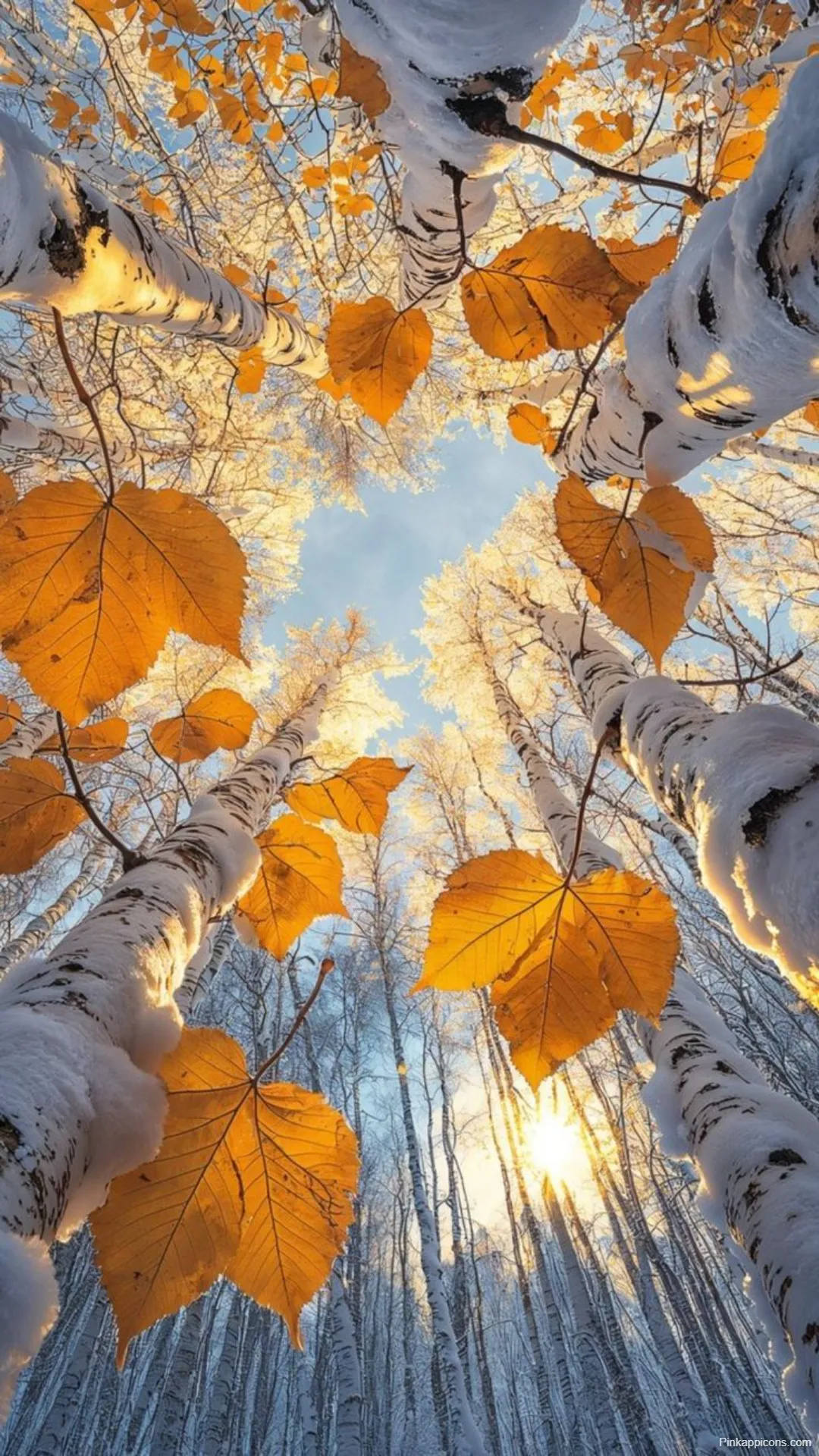First Snow Autumn Wallpapers Golden Leaves on Snowy Birch Trees First Snow Autumn Wallpapers Golden Leaves on Snowy Birch Trees