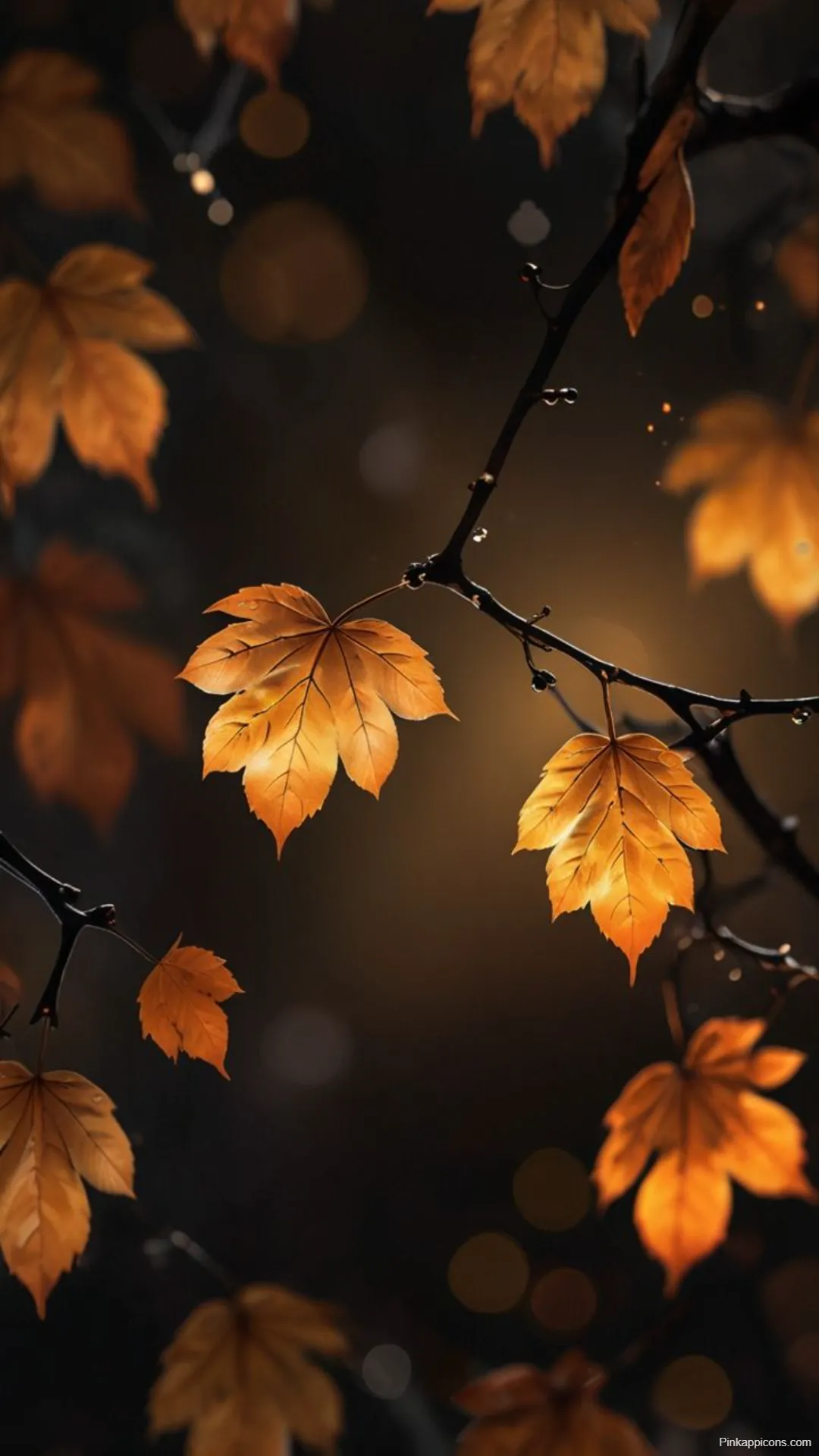Golden Hour Autumn Wallpapers Moody Maple Leaves with Bokeh Lights Golden Hour Autumn Wallpapers Moody Maple Leaves with Bokeh Lights