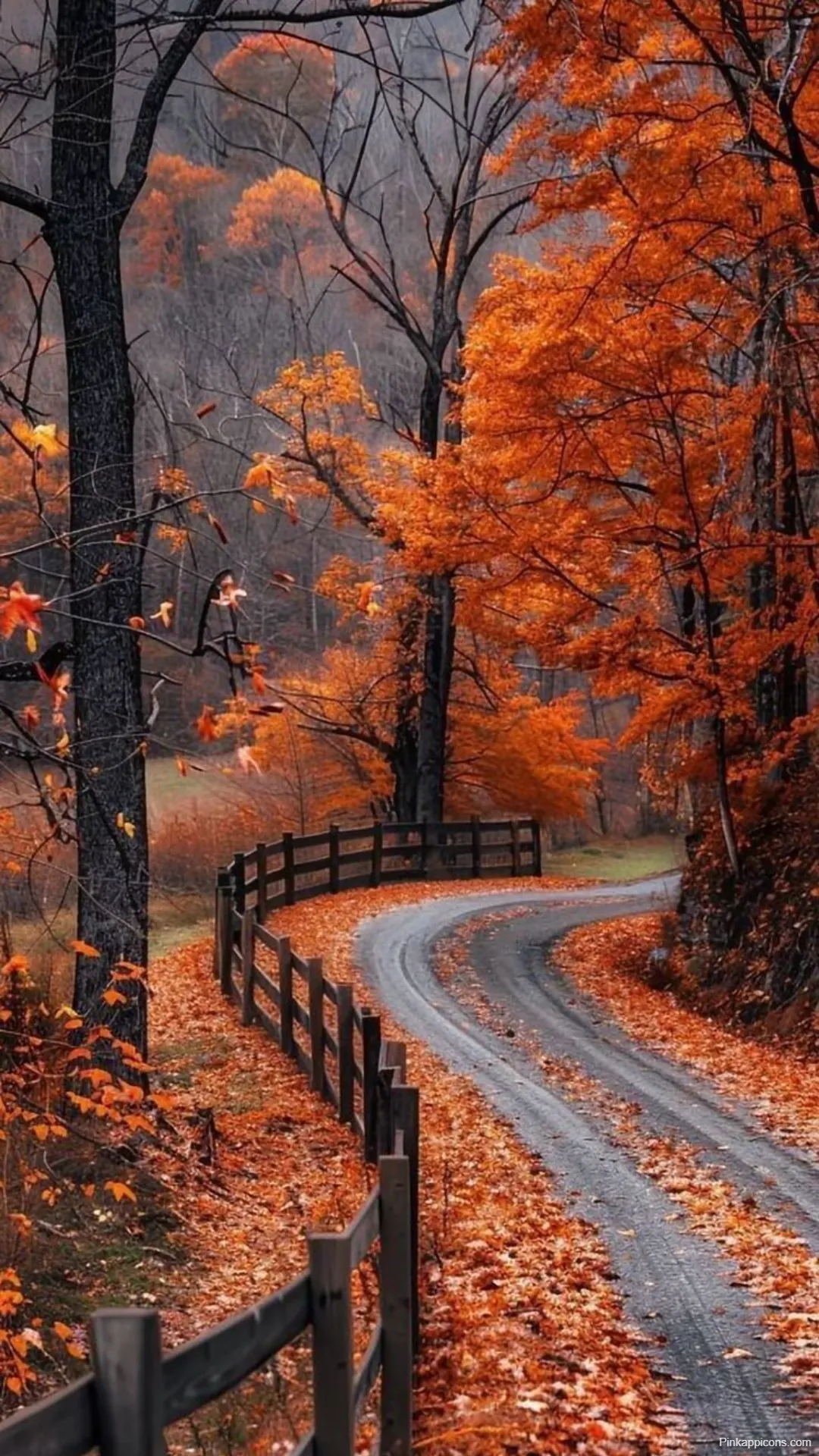 Scenic Autumn Wallpapers Winding Country Road with Vibrant Orange Foliage Scenic Autumn-Wallpapers Winding Country Road with Vibrant Orange Foliage