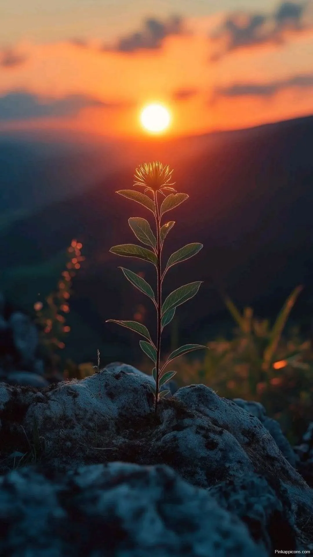 Stunning Sunrise Wallpapers Serene Coastal Beauty with a Vibrant Morning Glow Stunning Sunrise-Wallpapers Serene Coastal Beauty with a Vibrant Morning Glow