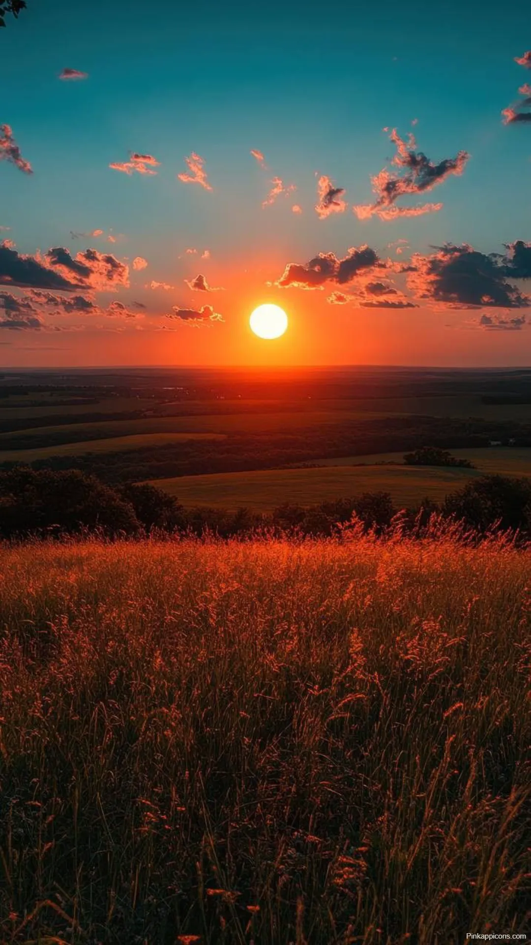 Sunrise Wallpapers Fiery Sky Sunlit Field of Red Grass Sunrise-Wallpapers Fiery Sky & Sunlit Field of Red Grass