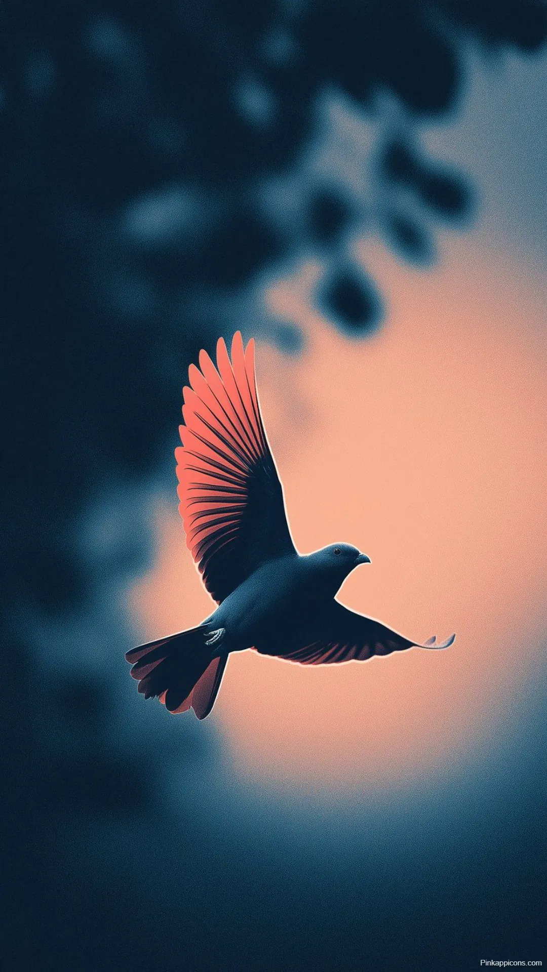 Artistic Bird Wallpapers Silhouetted Pigeon with Radiant Wings at Dusk Artistic Bird Wallpapers Silhouetted Pigeon with Radiant Wings at Dusk