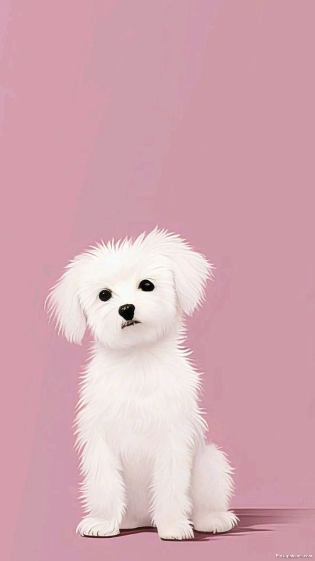 Cute Dog Wallpaper White Fluffy Puppy on Pink Background Cute Dog Wallpaper White Fluffy Puppy on Pink Background