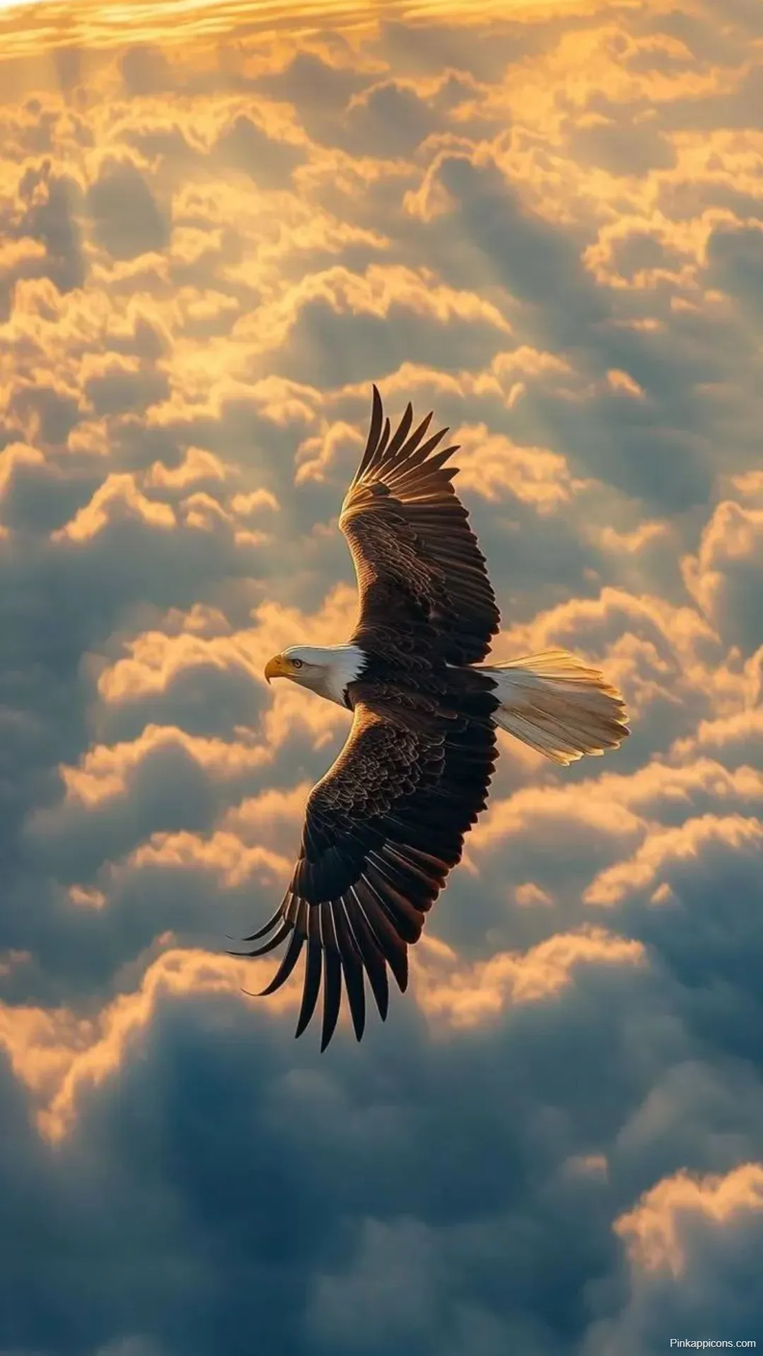 Stunning Bird Wallpaper Eagle in Flight Above Sky Best Bird Wallpapers Stunning Bird Wallpaper Eagle in Flight Above Sky – Best Bird Wallpapers