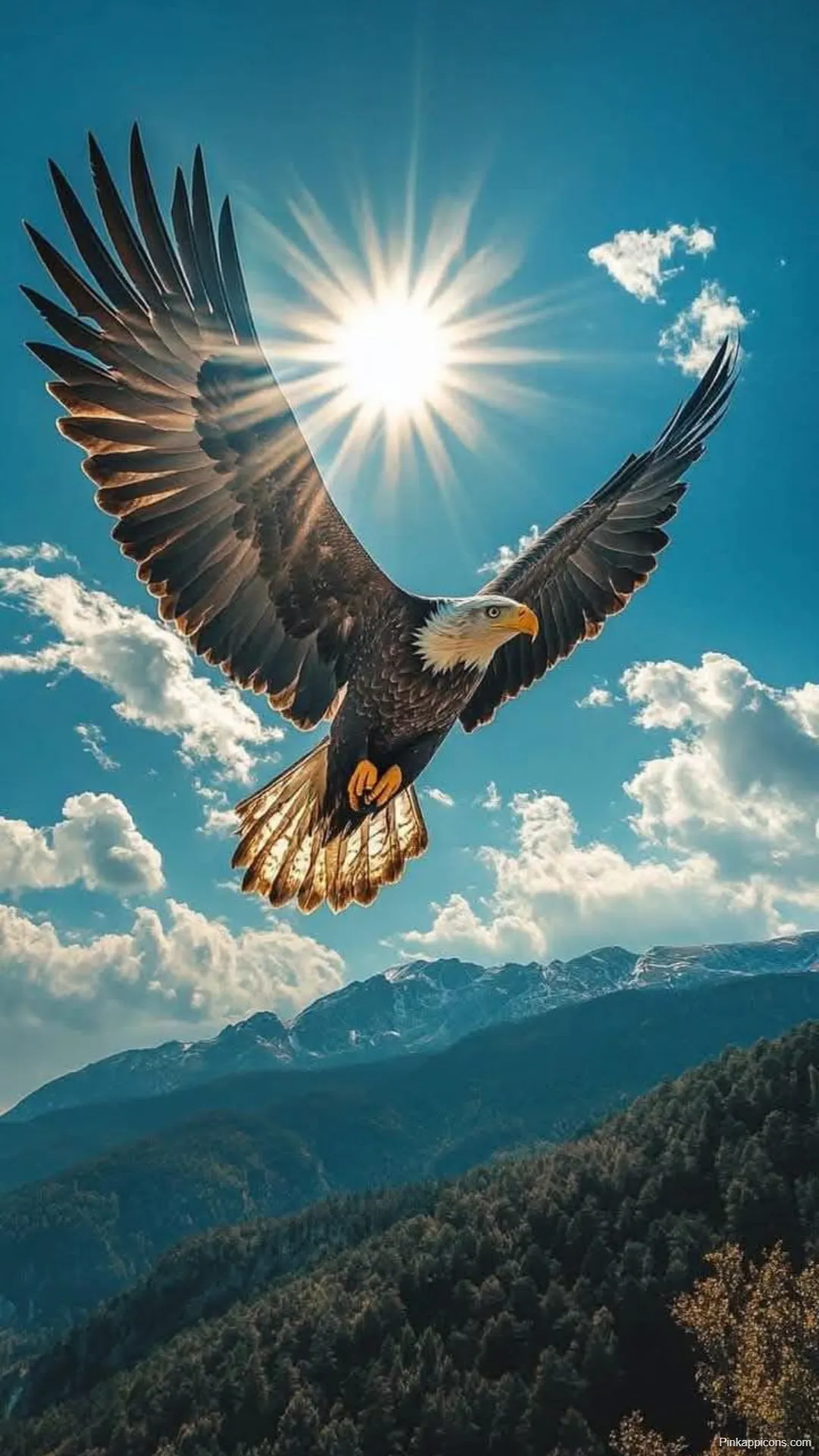 Stunning Bird Wallpaper Eagle in Flight Over Lush Mountains Best Bird Wallpapers Stunning Bird Wallpaper Eagle in Flight Over Lush Mountains – Best Bird Wallpapers