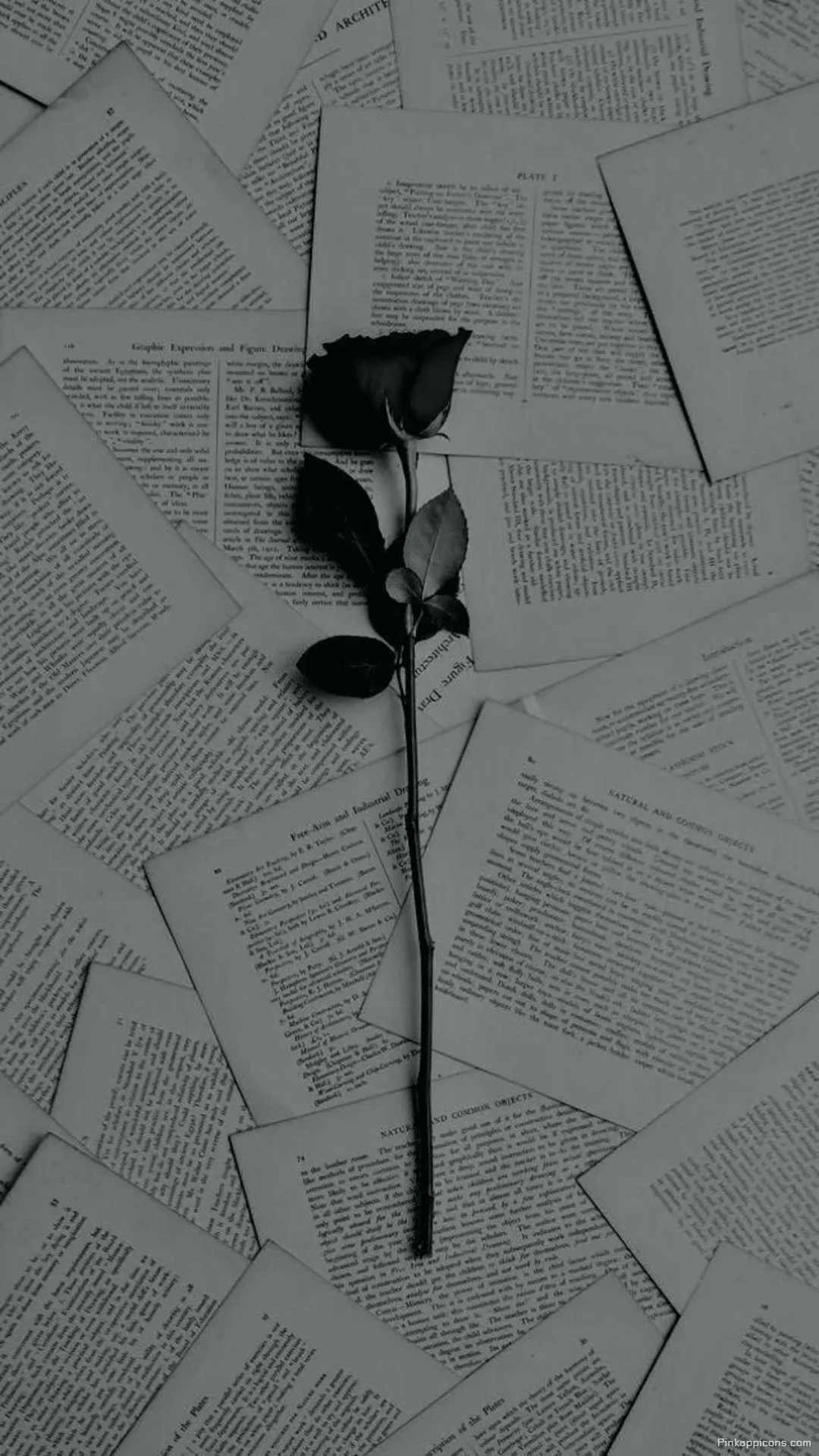 A Sad Wallpaper for Your Phone A Dark Rose and a Story of Heartbreak and Sorrow A Sad Wallpaper for Your Phone A Dark Rose and a Story of Heartbreak and Sorrow
