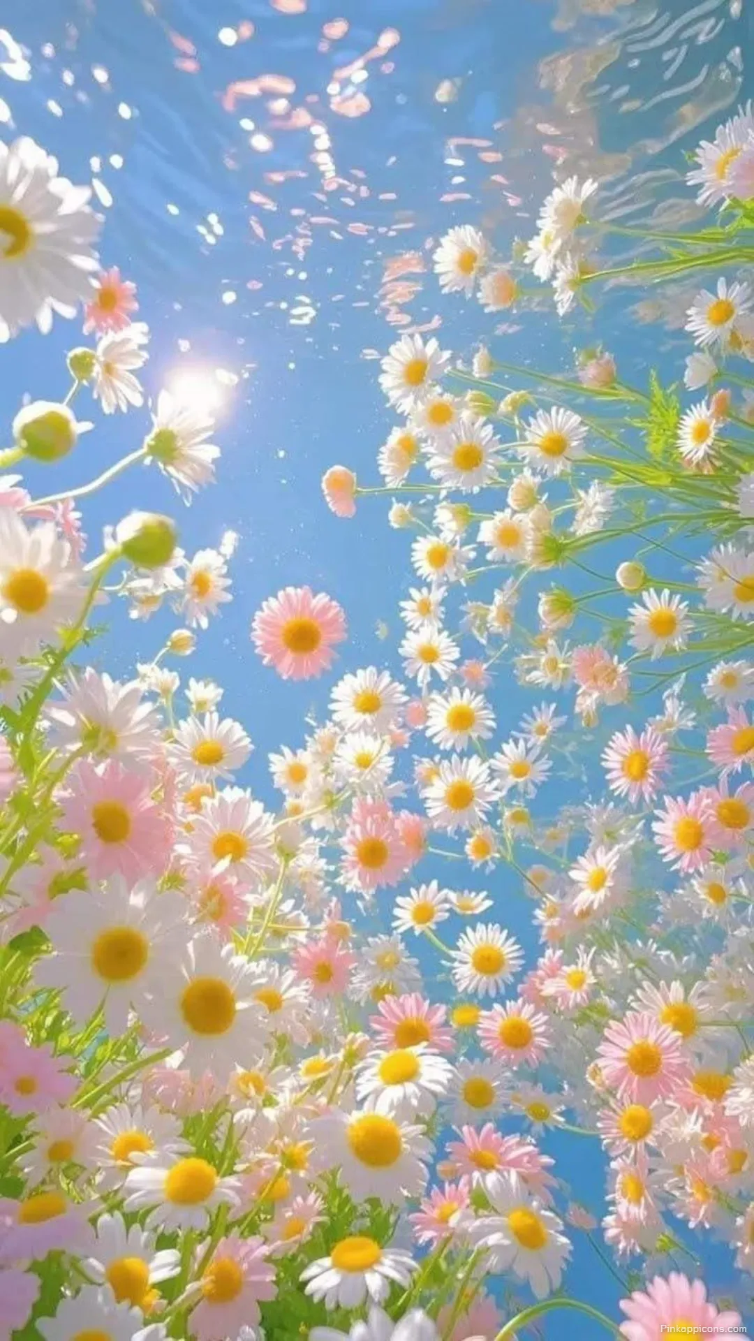 Aesthetic Floral Spring Wallpaper for Mobile Aesthetic Floral Spring Wallpaper for Mobile