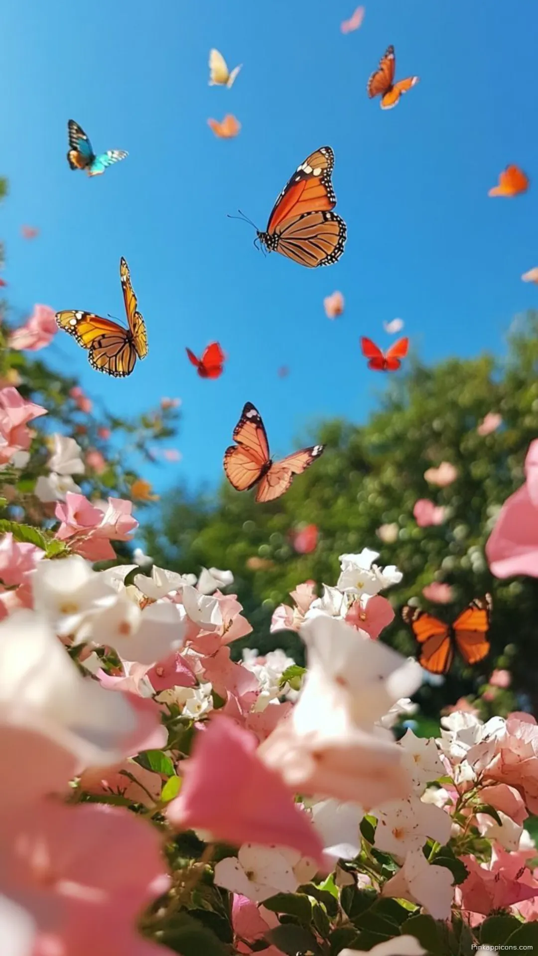 Aesthetic Spring Wallpaper with Flowers and Butterflies Aesthetic Spring Wallpaper with Flowers and Butterflies