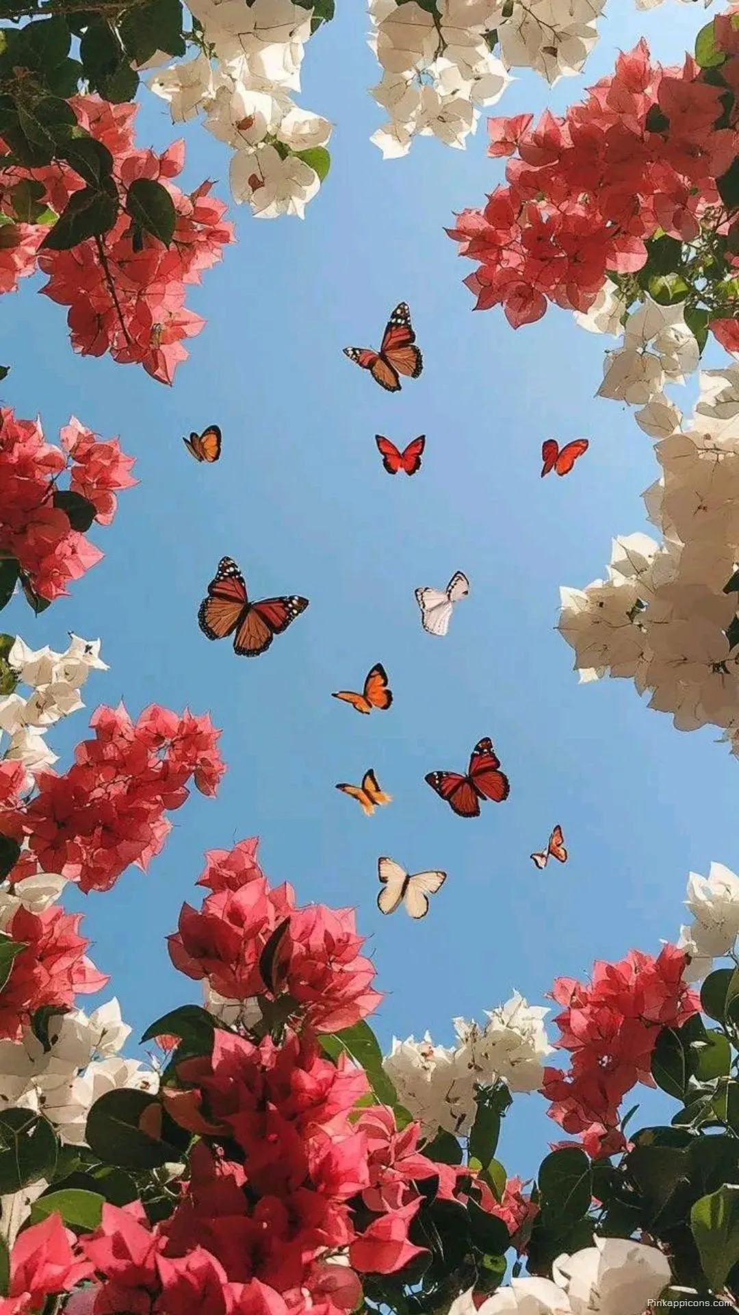 Aesthetic Spring Wallpaper with Flowers Aesthetic Spring Wallpaper with Flowers