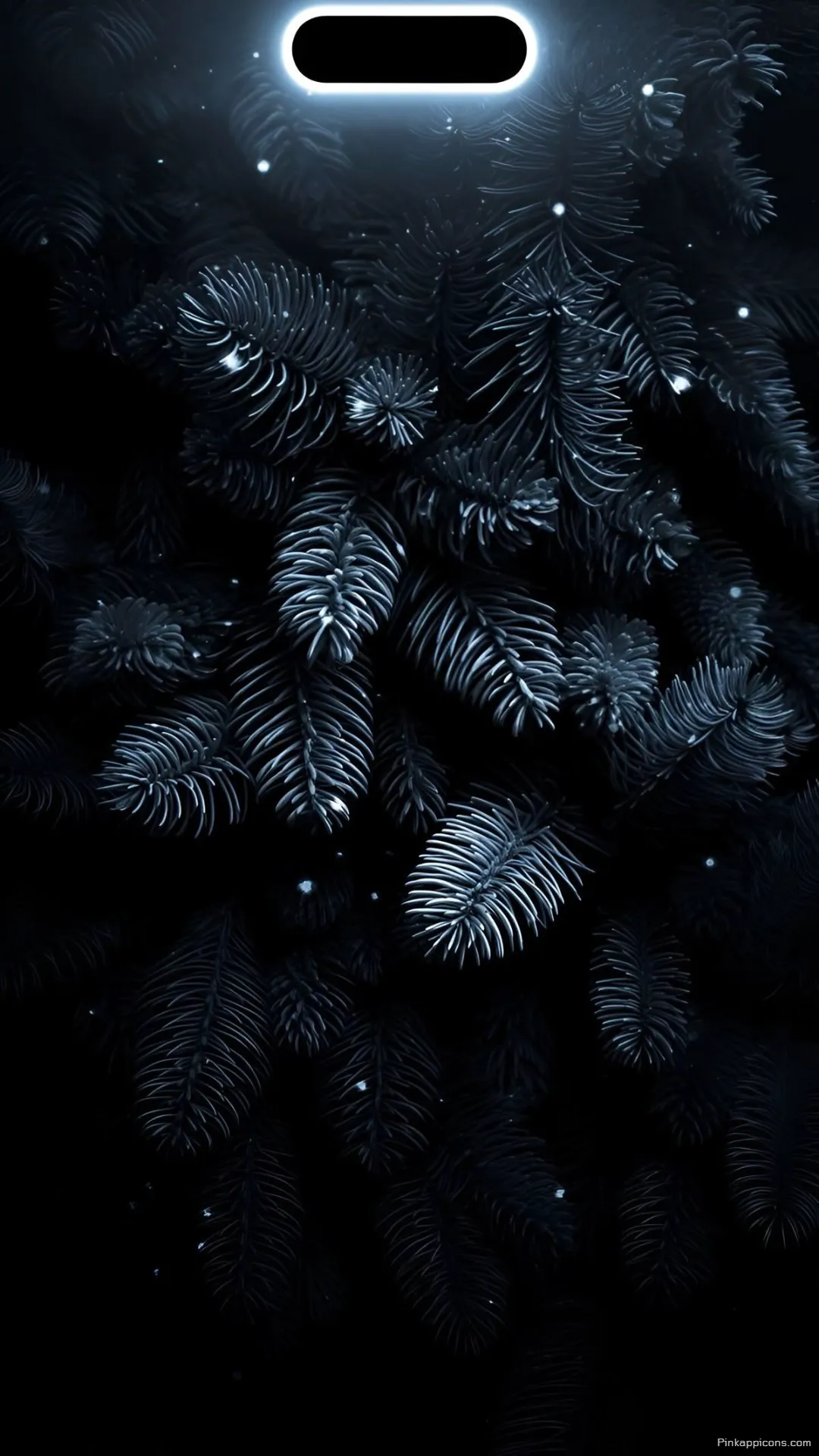 Amazing iPhone Wallpaper A striking photo of dark pine branches with a glowing dynamic island perfect for your phone wallpaper Amazing iPhone Wallpaper A striking photo of dark pine branches with a glowing dynamic island, perfect for your phone wallpaper.