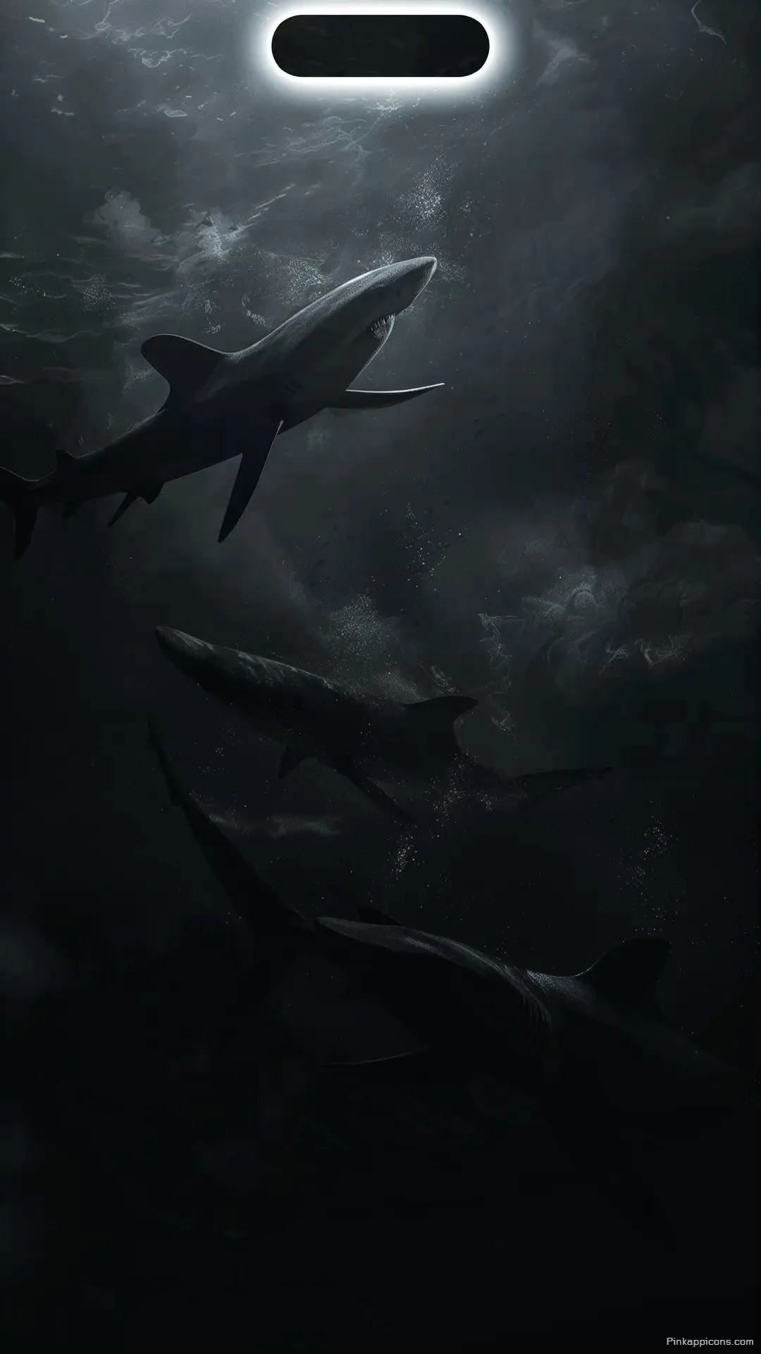 Amazing iPhone Wallpaper A striking shot of sharks swimming in dark water with a light from the Dynamic Island perfect for your phone wallpaper Amazing iPhone Wallpaper A striking shot of sharks swimming in dark water with a light from the Dynamic Island, perfect for your phone wallpaper.
