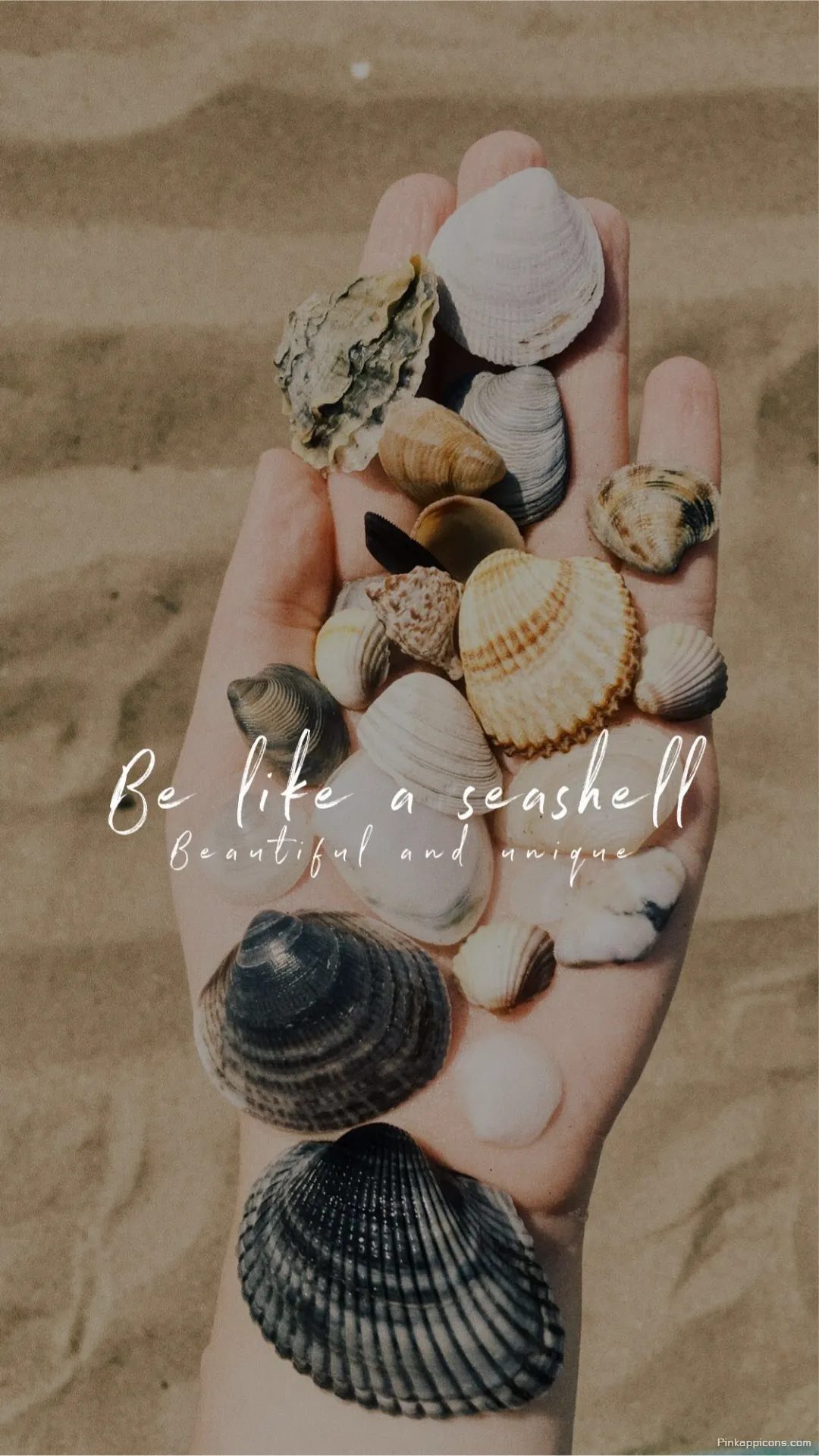 Be Like a Seashell Quote on Handful of Shells Inspiring Beach Story Ideas for Instagram Be Like a Seashell Quote on Handful of Shells Inspiring Beach Story Ideas for Instagram.