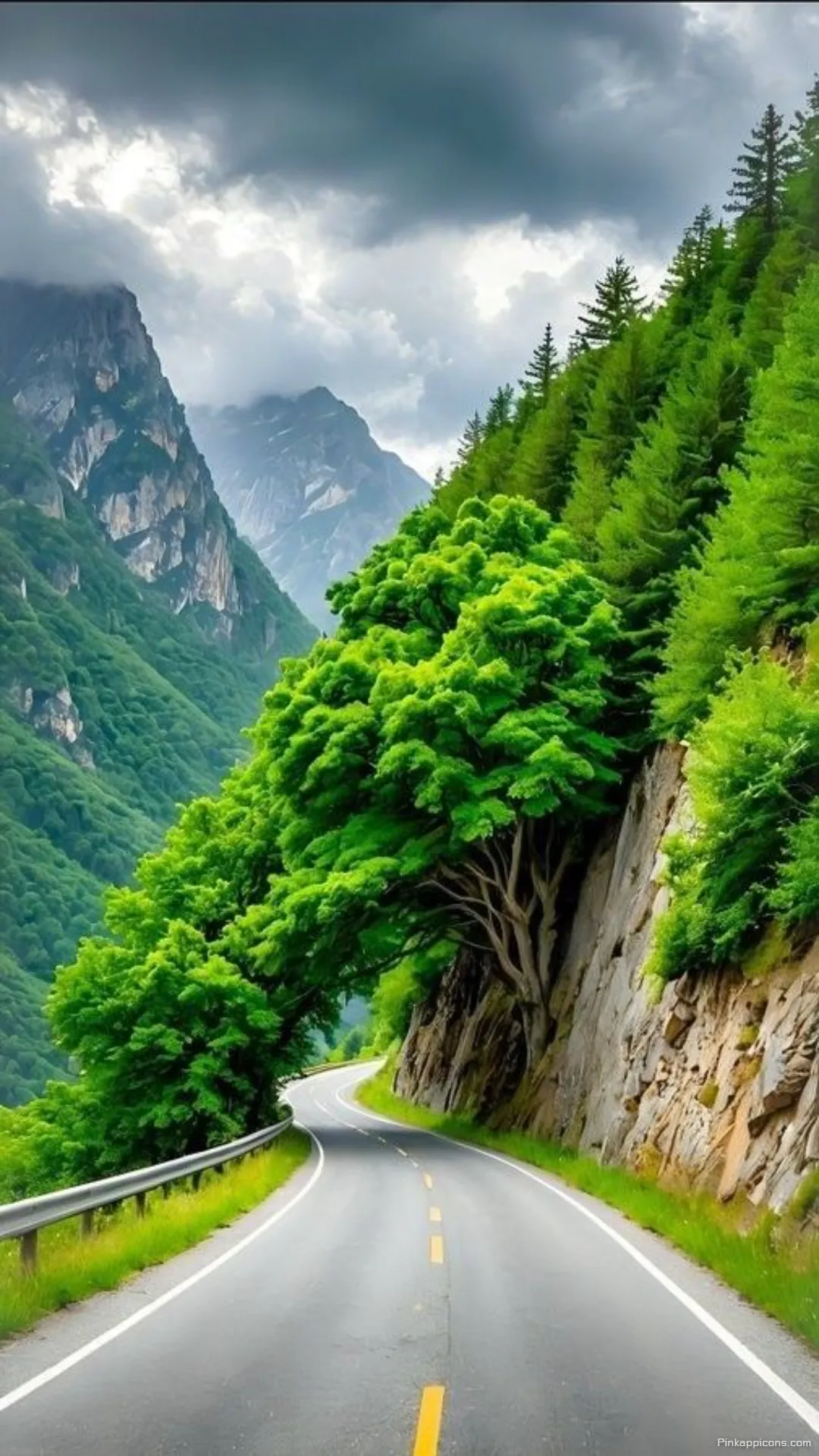 Beautiful Arched Tree over a Road Forest Wallpaper in the Mountains Beautiful Arched Tree over a Road Forest Wallpaper in the Mountains
