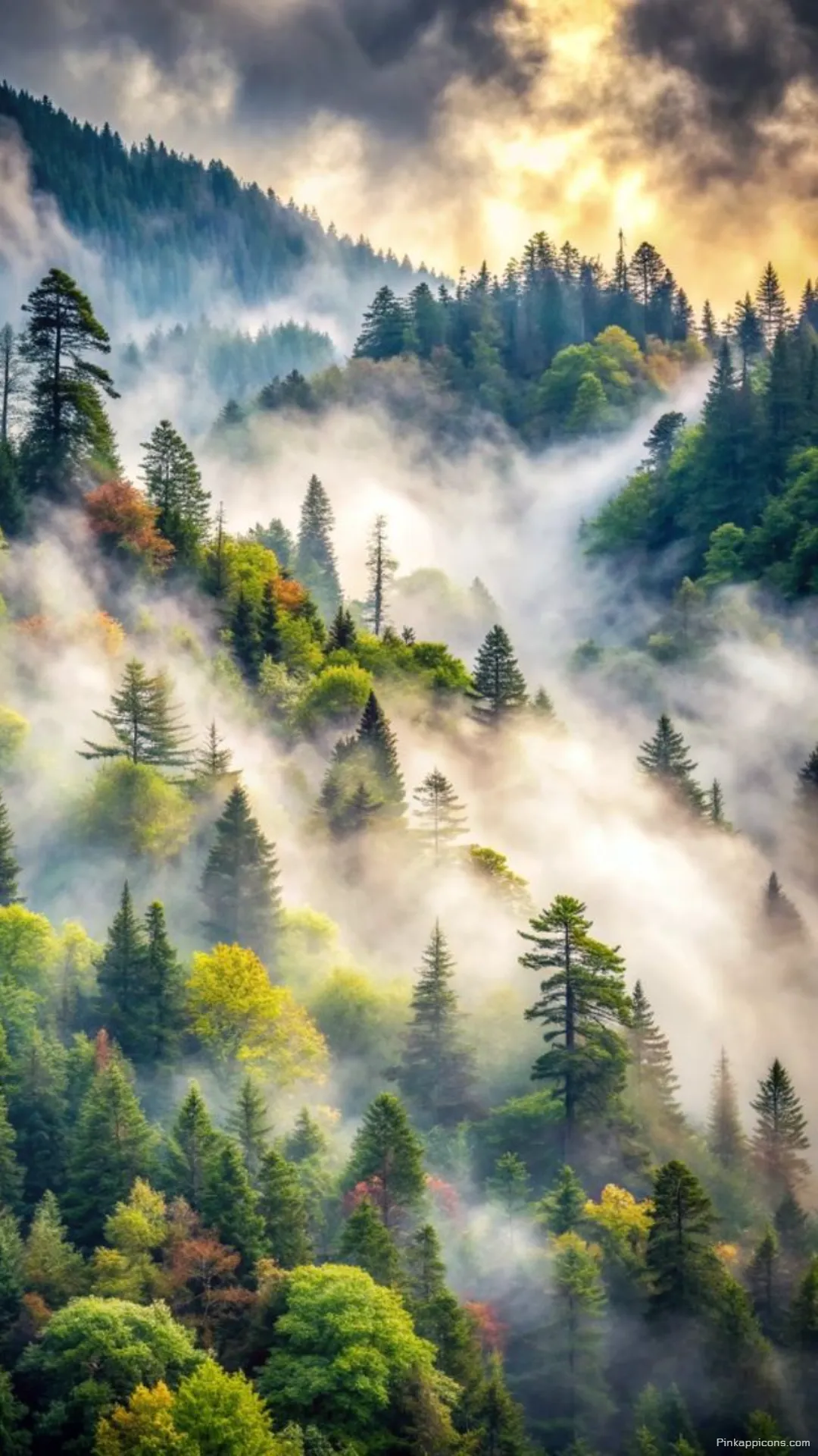 Beautiful Autumnal Forest Wallpaper of a Hazy Green and Orange Valley Beautiful Autumnal Forest Wallpaper of a Hazy Green and Orange Valley