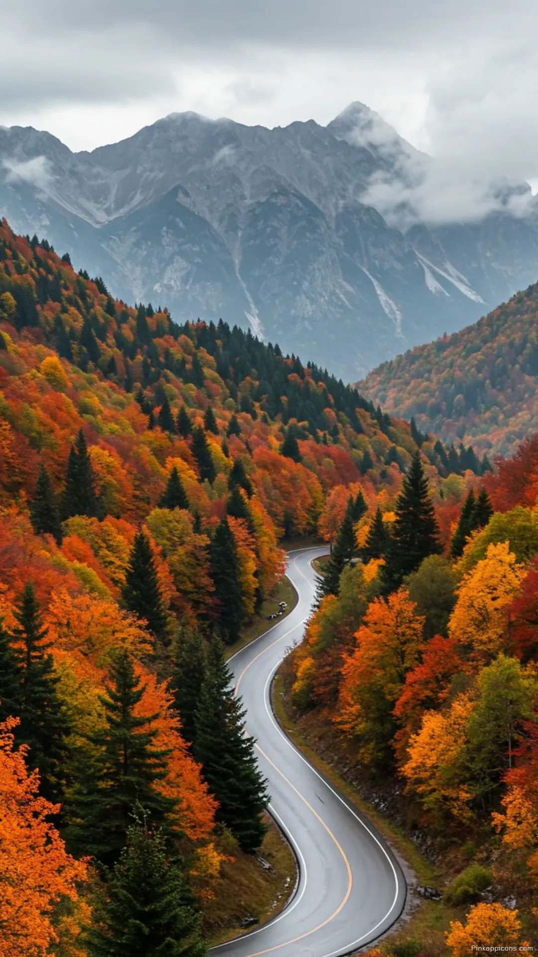 Beautiful Fall Foliage Forest Wallpaper for Mobile Screens Beautiful Fall Foliage Forest Wallpaper for Mobile Screens
