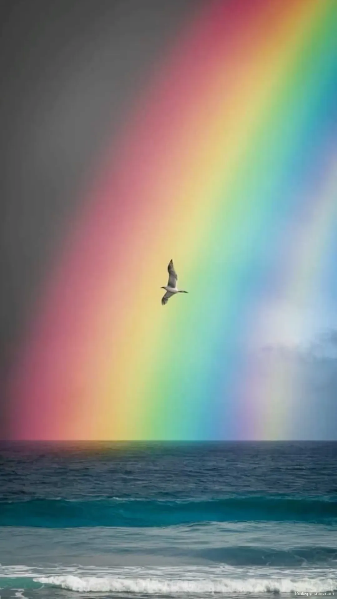 Beautiful Ocean Rainbow Wallpaper A Bird Flying Over the Waves and a Colorful Arch Beautiful Ocean Rainbow Wallpaper A Bird Flying Over the Waves and a Colorful Arch