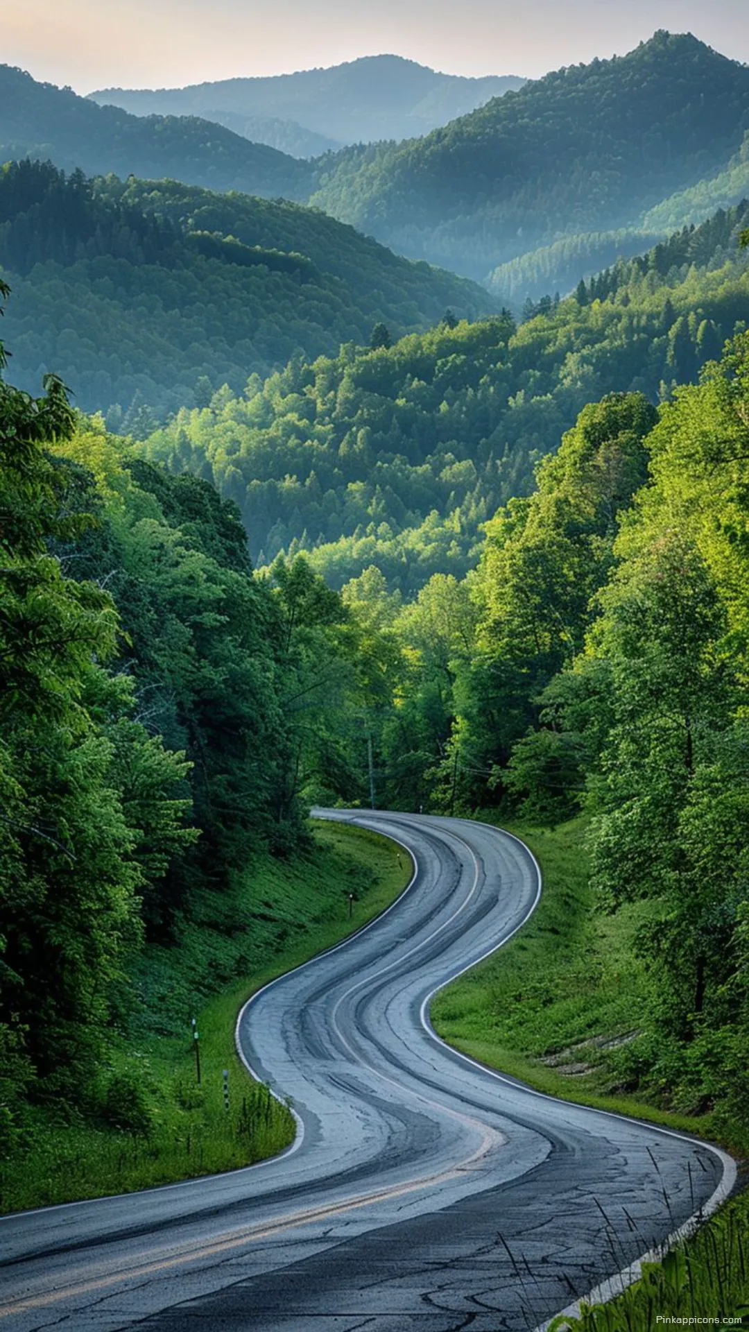 Beautiful Scenic Drive Through a Serene Valley Forest Wallpaper Beautiful Scenic Drive Through a Serene Valley Forest Wallpaper