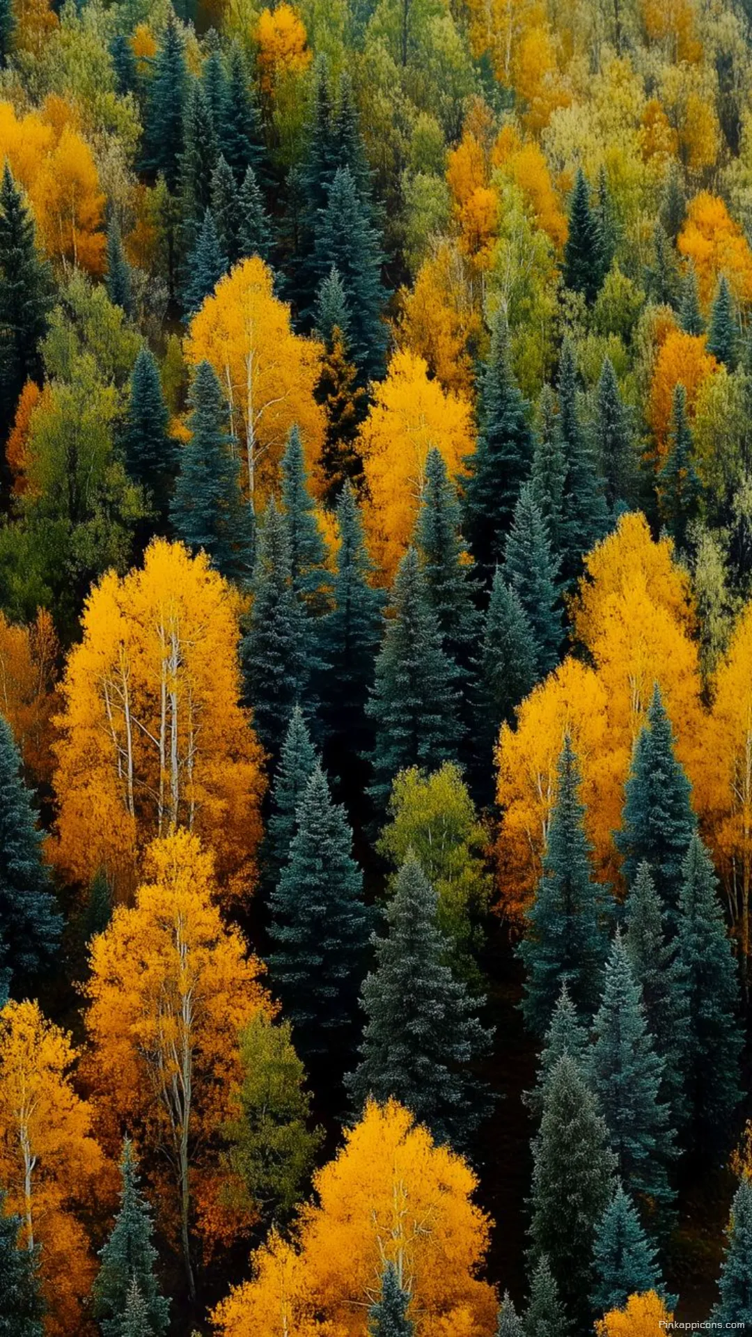Breathtaking Forest Wallpaper of Fall Foliage in Vibrant Yellow and Green Breathtaking Forest Wallpaper of Fall Foliage in Vibrant Yellow and Green