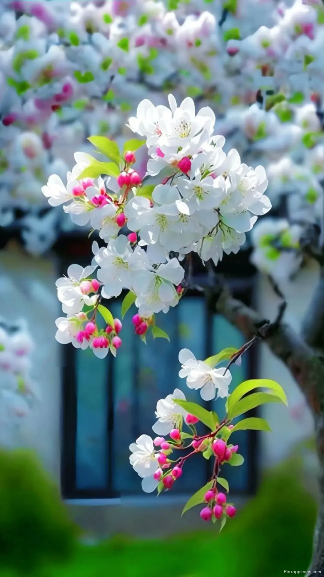 Cheerful Spring Blooms Wallpaper The perfect beautiful cute wallpaper phone Cheerful Spring Blooms Wallpaper The perfect beautiful cute wallpaper phone.