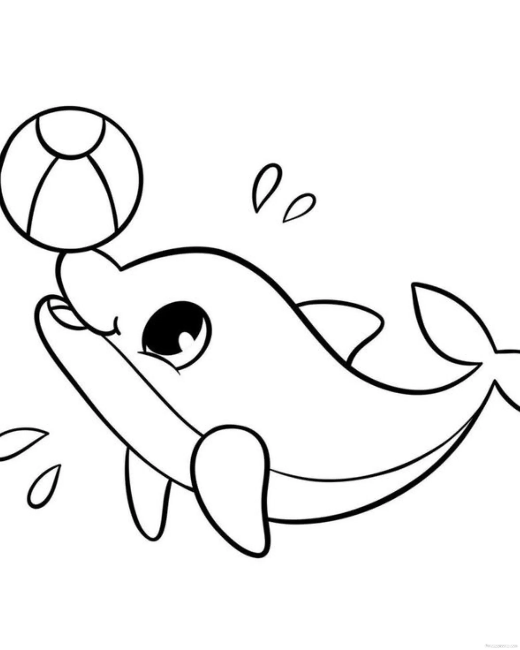 Cute Cartoon Dolphin Drawing Ideas with a Ball Cute Cartoon Dolphin Drawing Ideas with a Ball
