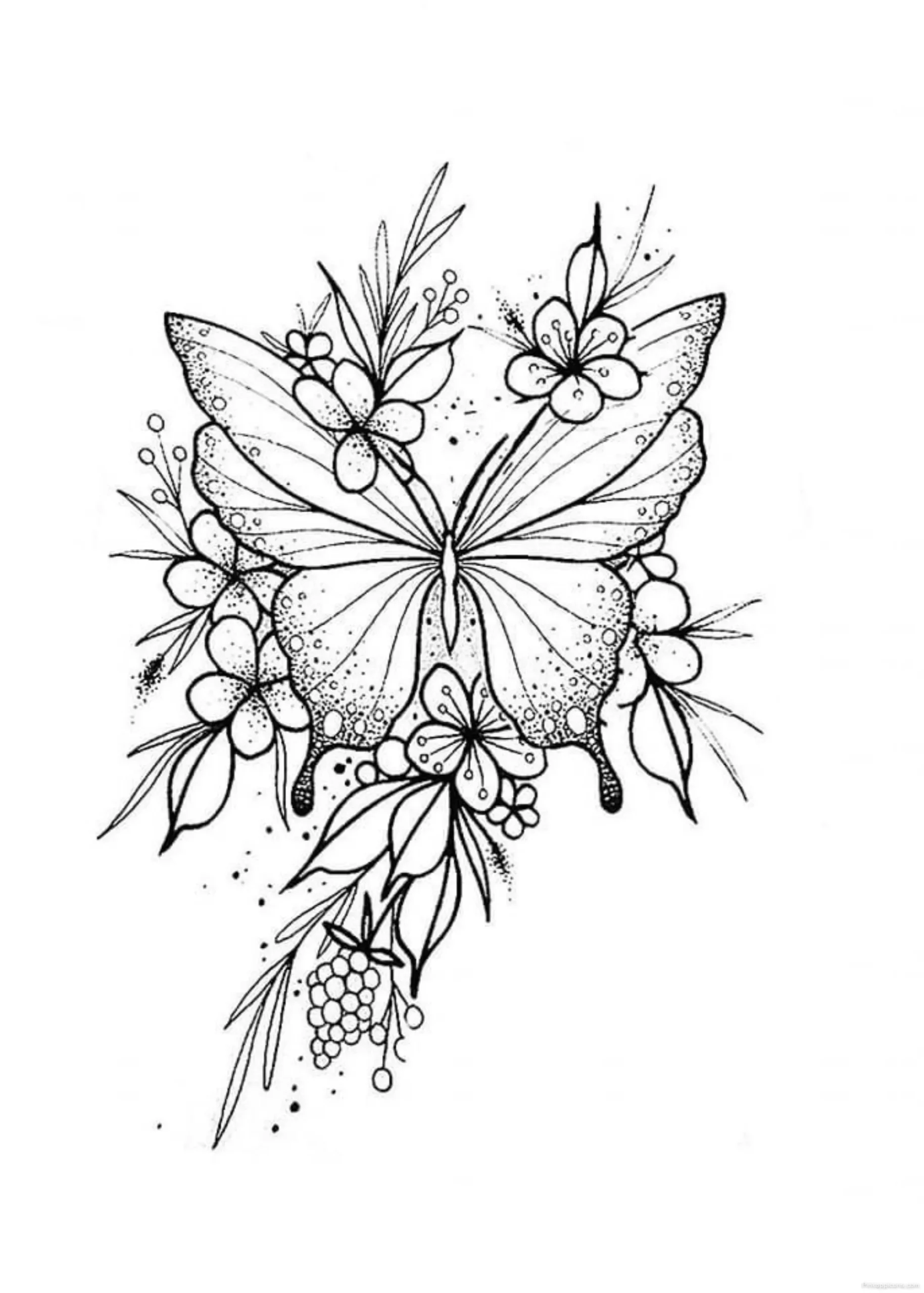 Detailed Butterfly and Flowers Drawing Ideas scaled Detailed Butterfly and Flowers Drawing Ideas