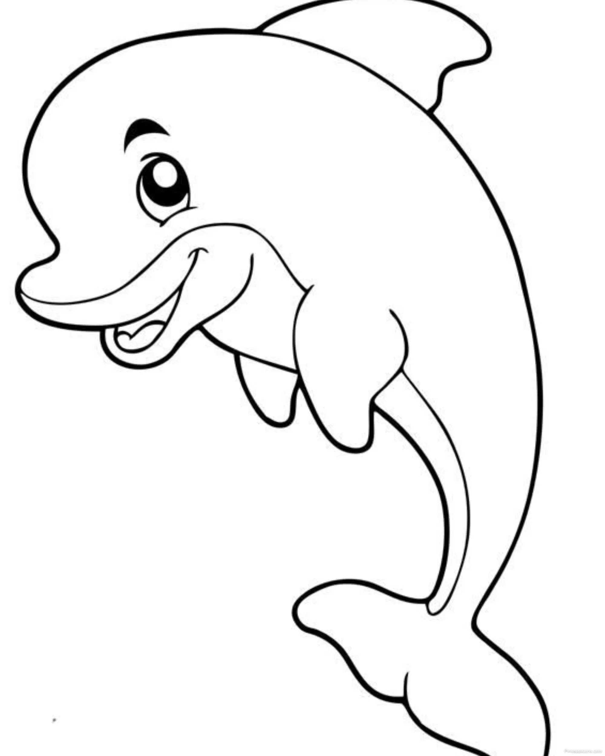 Easy Outline Dolphin Drawing Ideas for Beginners Easy Outline Dolphin Drawing Ideas for Beginners