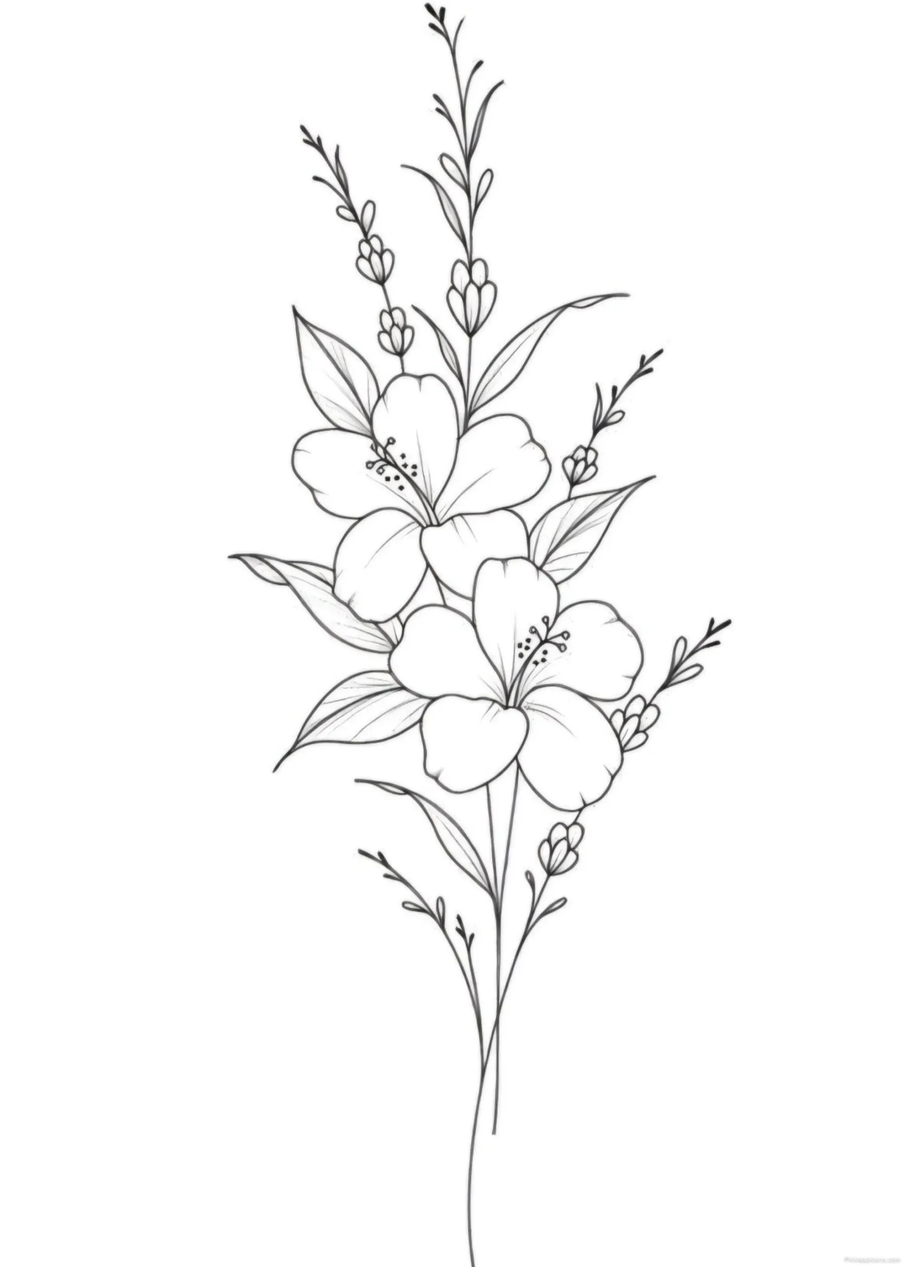 Elegant Hibiscus Flowers Drawing Ideas with Lavender scaled Elegant Hibiscus Flowers Drawing Ideas with Lavender
