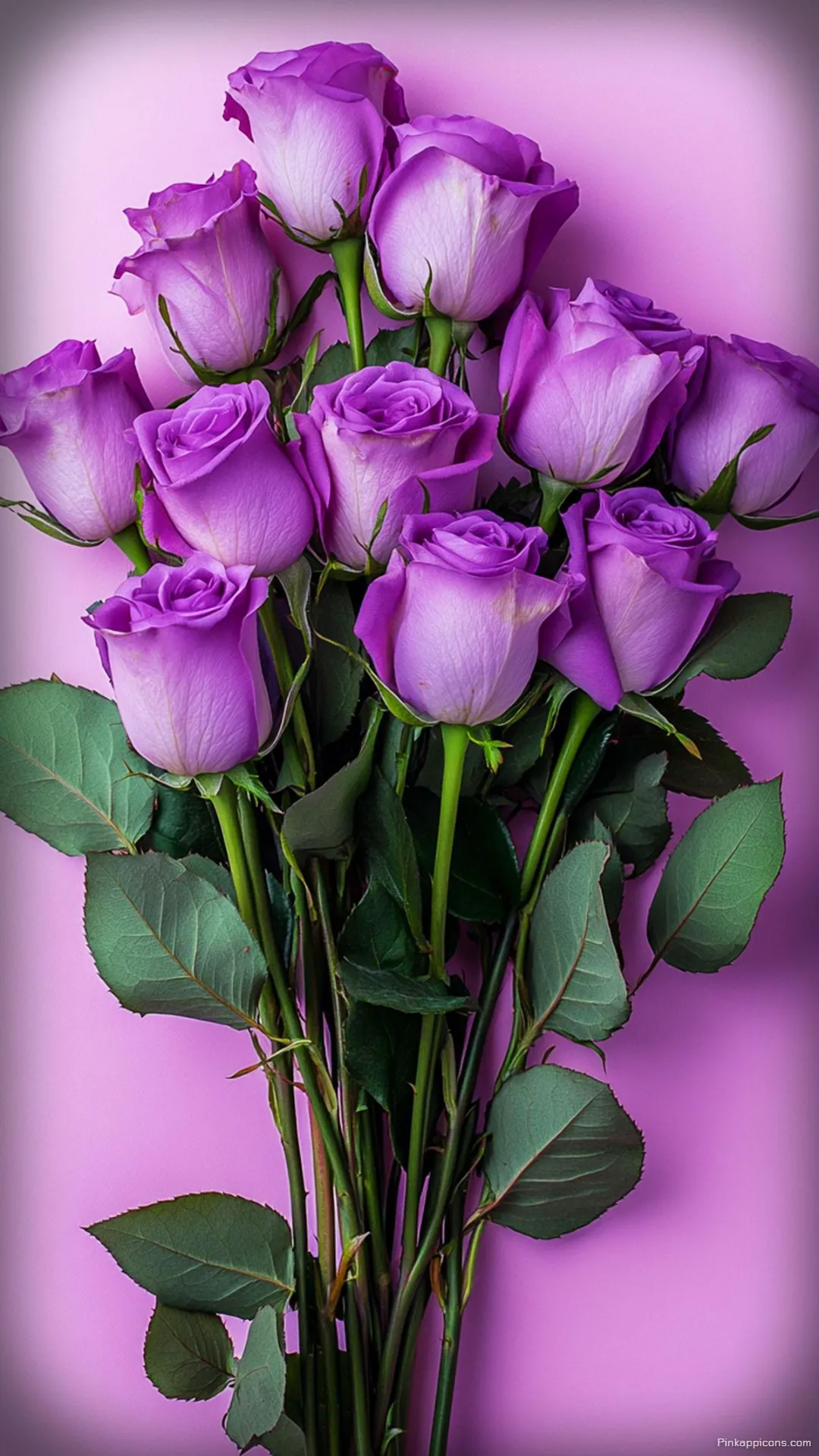 Elegant Lavender Rose Wallpaper Arrangement Serene Floral Display for Your Mobile Elegant Lavender Rose Wallpaper Arrangement – Serene Floral Display for Your Mobile