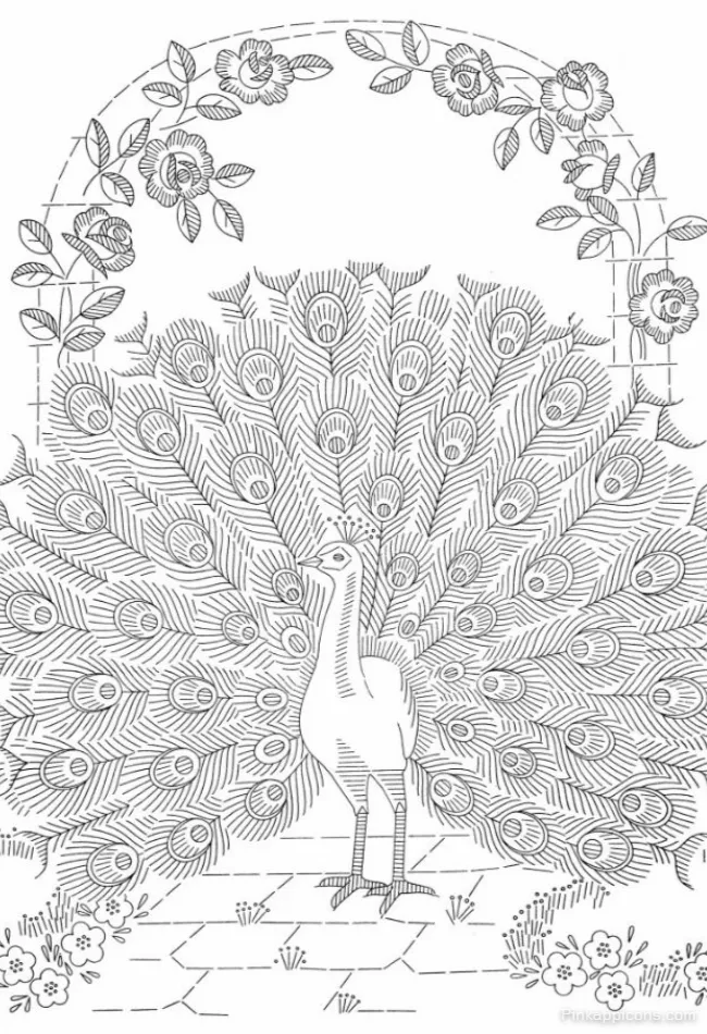 Elegant Peacock Drawing with a Full Feather Display A Classic Line Art DRAWING IDEAS Elegant Peacock Drawing with a Full Feather Display A Classic Line Art DRAWING IDEAS