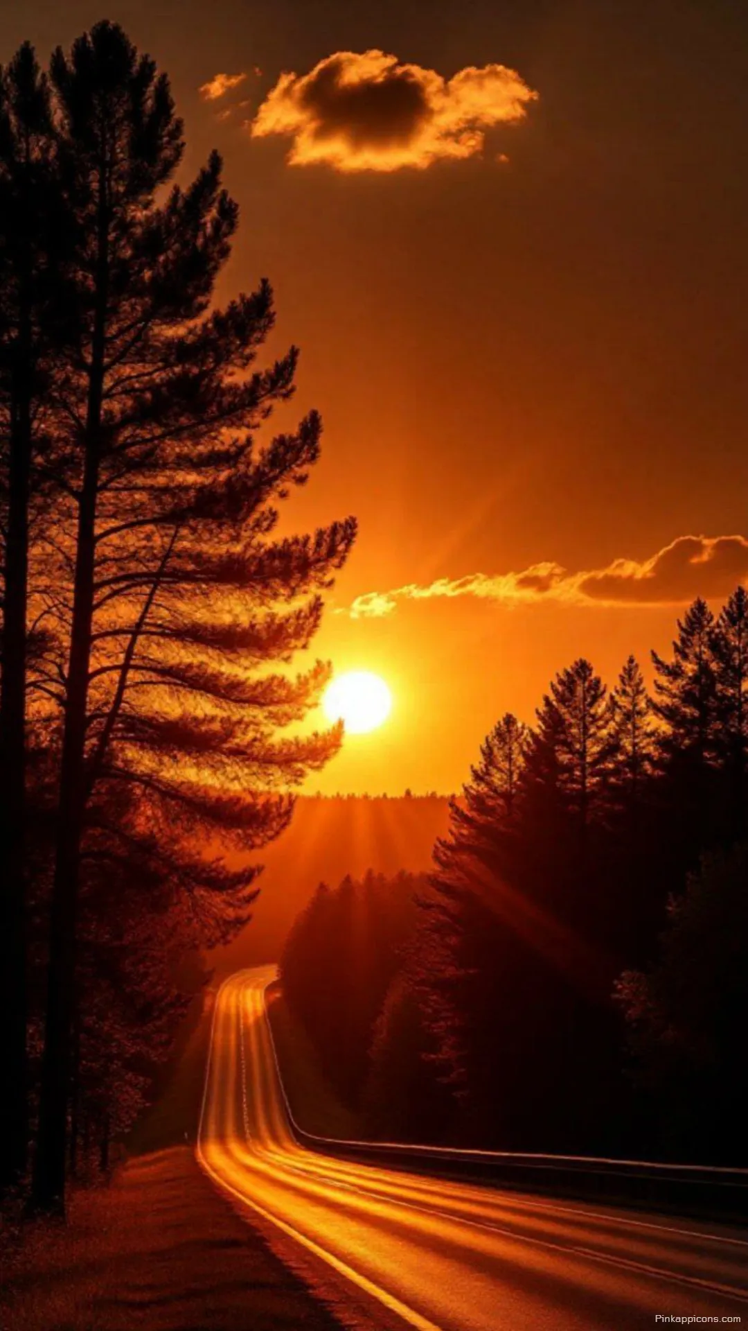 Fiery Orange Sunset Wallpaper in the Forest Fiery Orange Sunset Wallpaper in the Forest