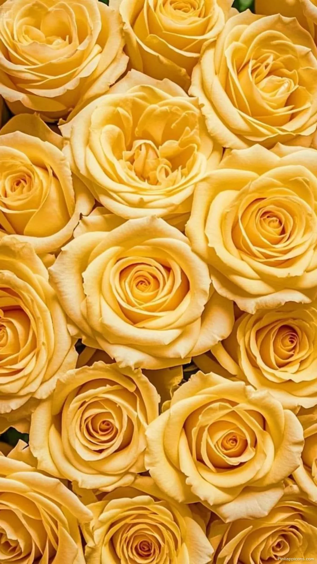 Golden Hour Glow Elegant Yellow Rose Wallpaper for a Bright Phone Screen Golden Hour Glow Elegant Yellow Rose Wallpaper for a Bright Phone Screen